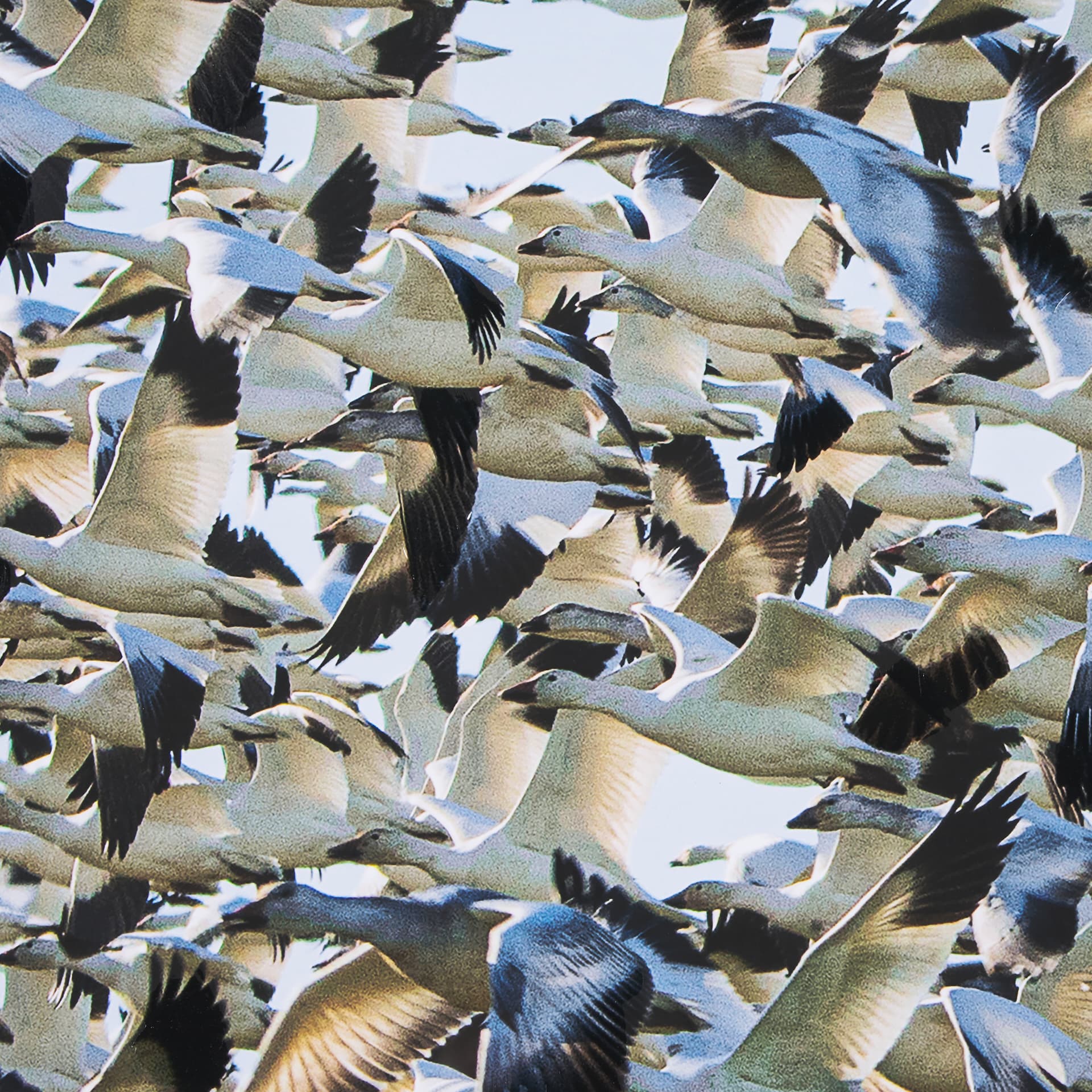 Snowgoose Migration 1 by Gary Blatter Hand Embellished Textured Framed Art Print Matted under Glass — product photograph