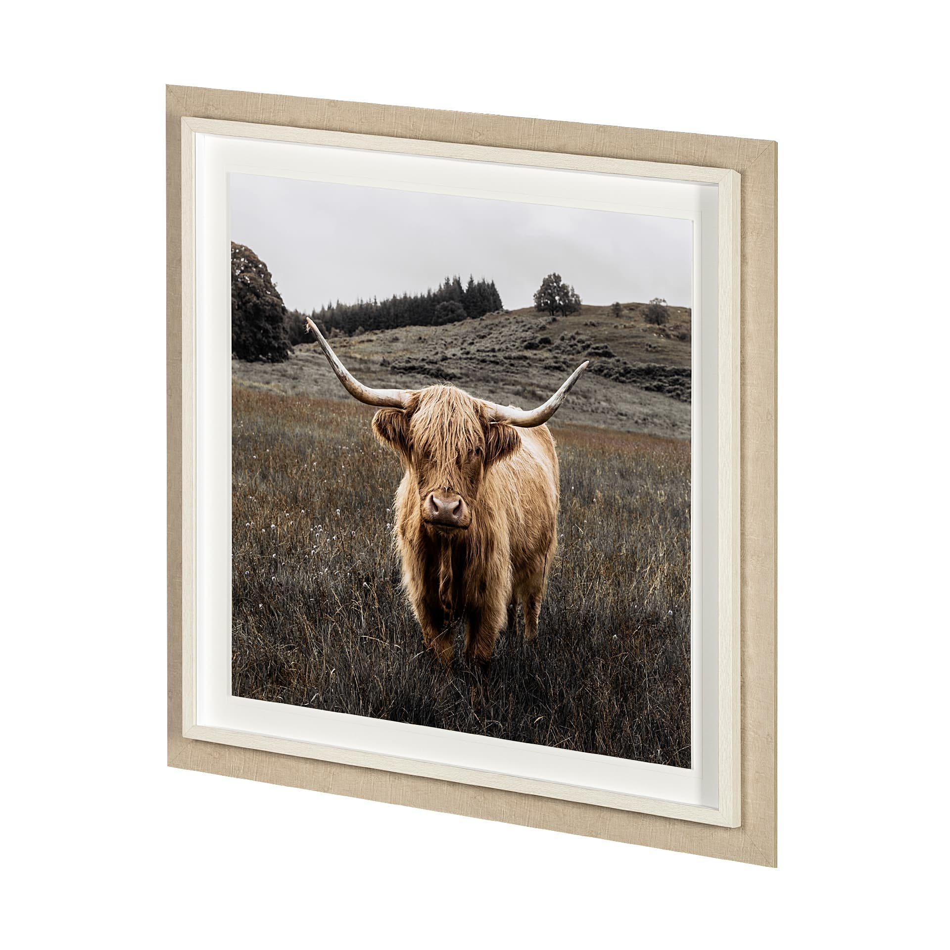 Bernie by Assaf Frank a Framed Photo Art Print Matted under Glass — product photograph