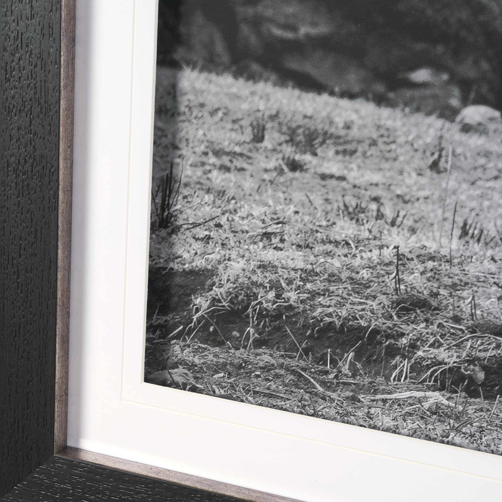 Mountain Majesty - Stance by Matt Roseveare Framed Art Print Matted under Glass — product photograph