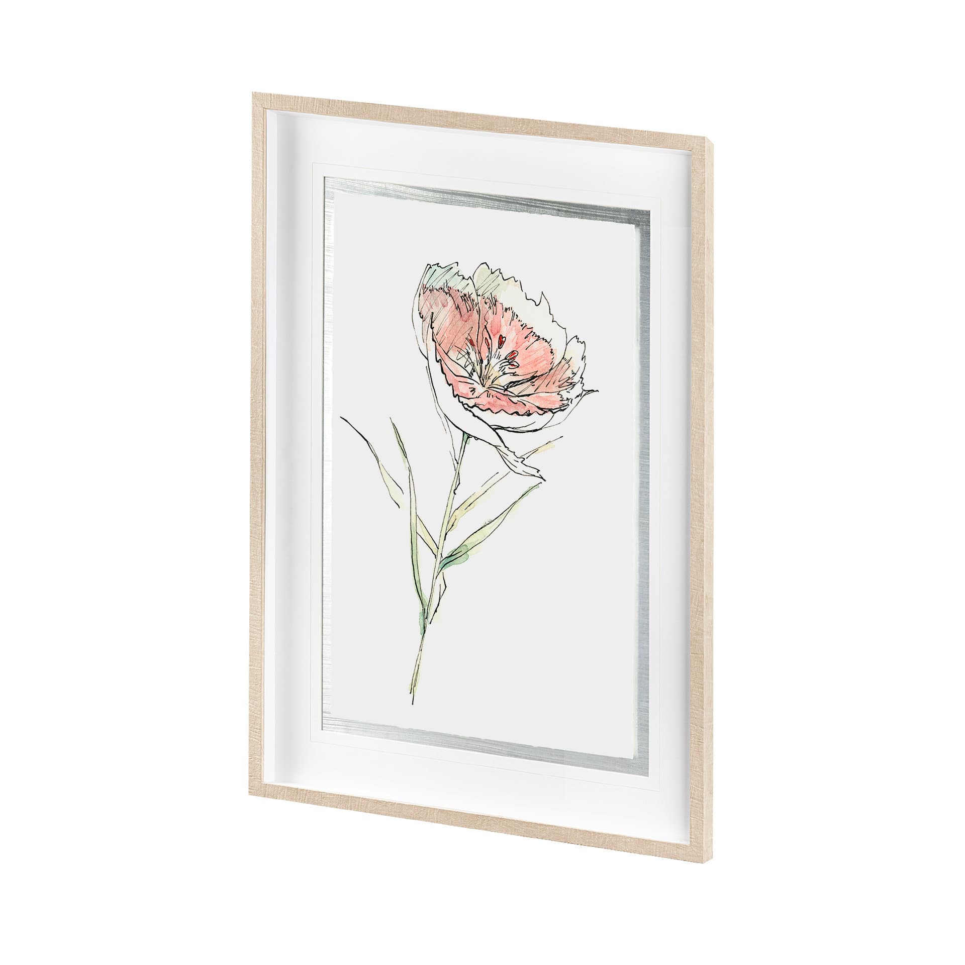Dianthus II by Panpan Zhang a Framed Art Print Matted under Glass — product photograph
