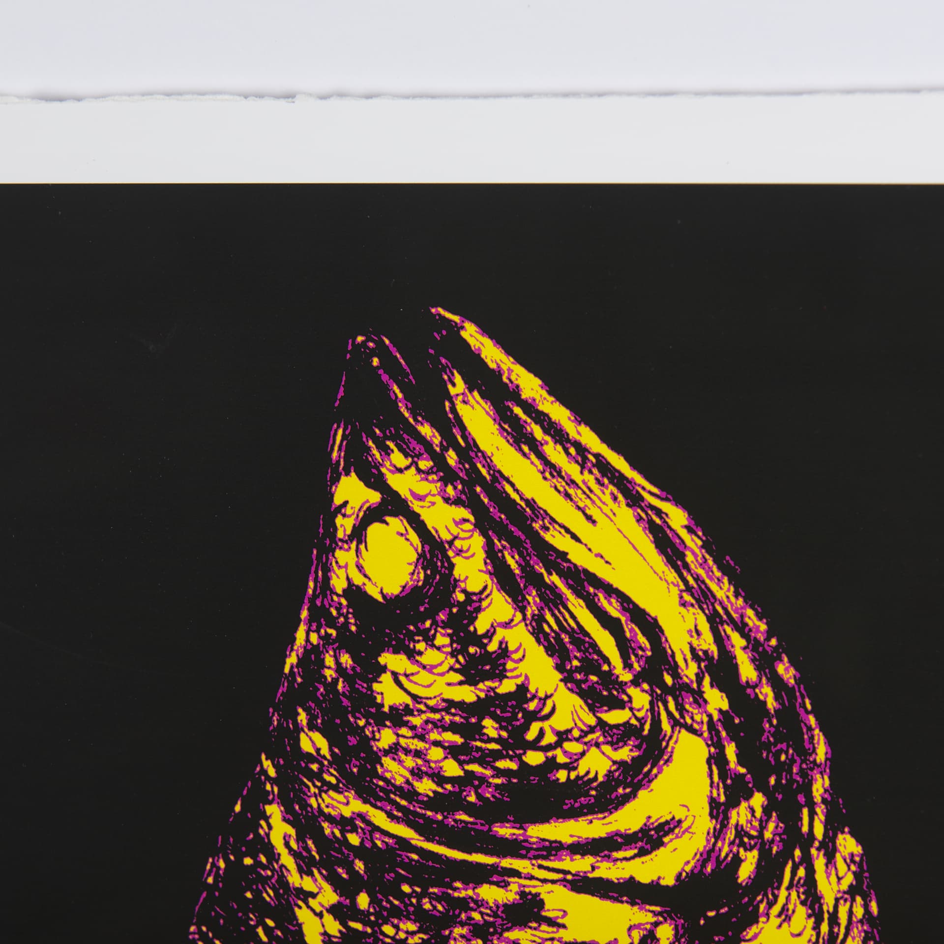 Largemouth Bass Print 4 in 1 by Simeng a Framed Art Print Matted under Glass — product photograph