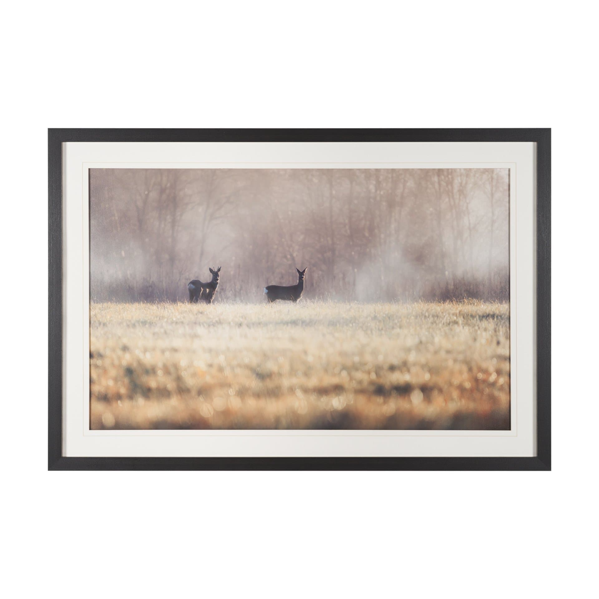 Distant Duo by Andreas Stridsberg Framed Photo Print Matted under Glass — product photograph