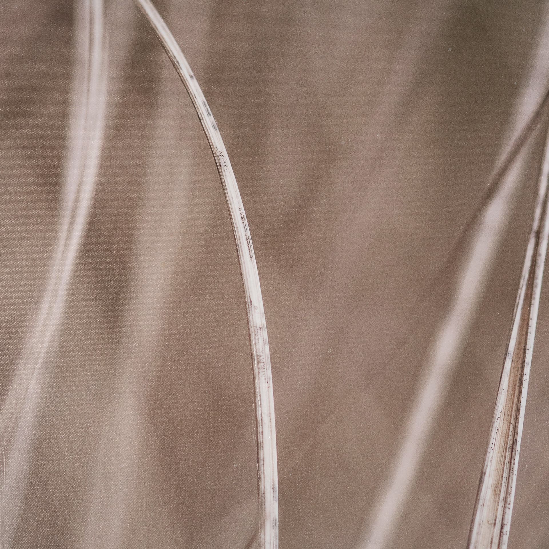 Summer Grass 3 by Mareike Bohmer Hand-Embellished Textured Framed Canvas Art Print — product photograph