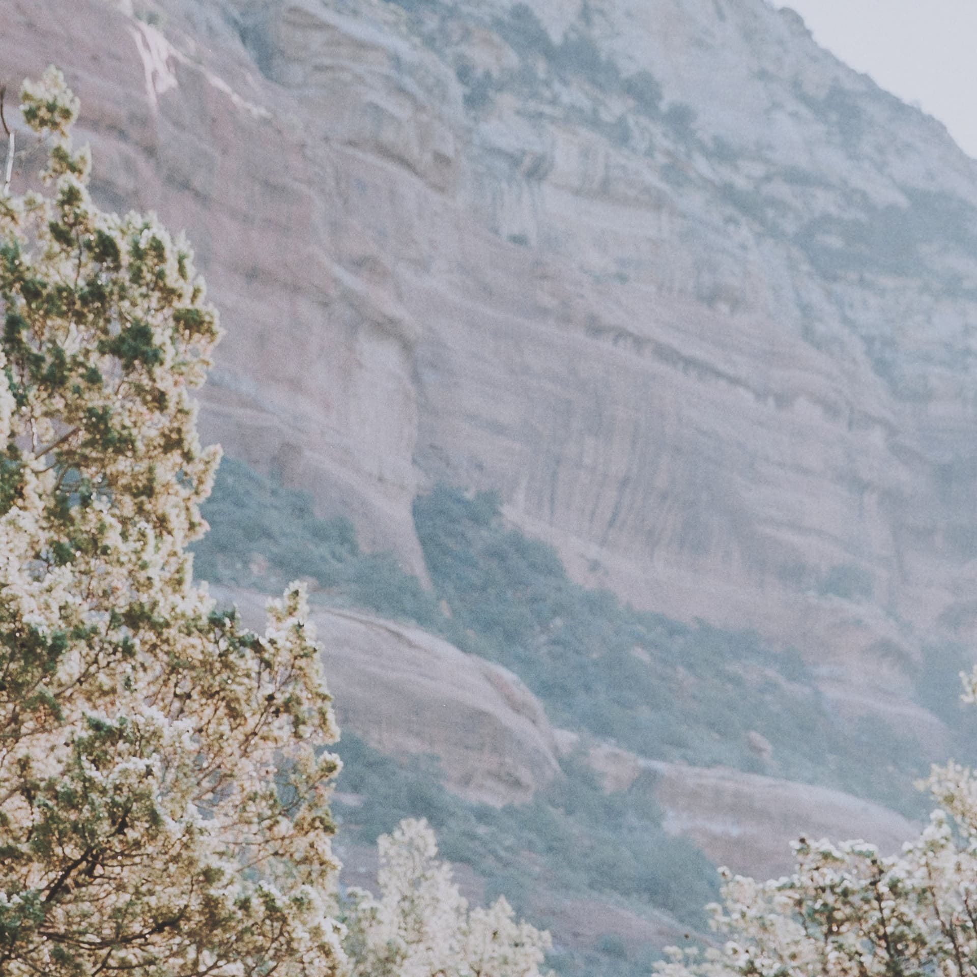 Path to Devil's Bridge by Kelly Frere FramedPhoto Print Matted under Glass — product photograph