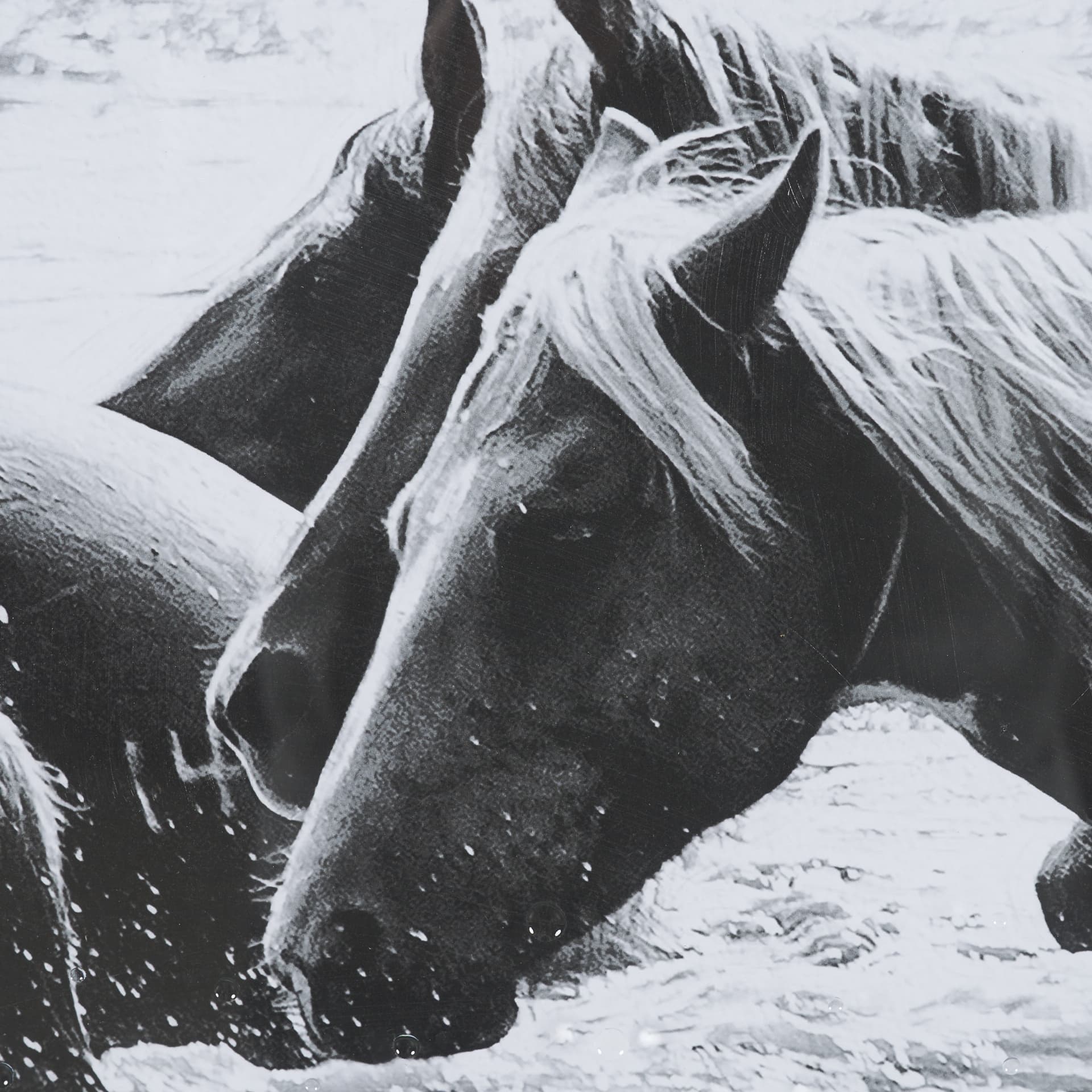 Water Horses III 1 by PH Burchett a Hand Embellished Textured Framed Photo Art Print Matted under Gl — product photograph
