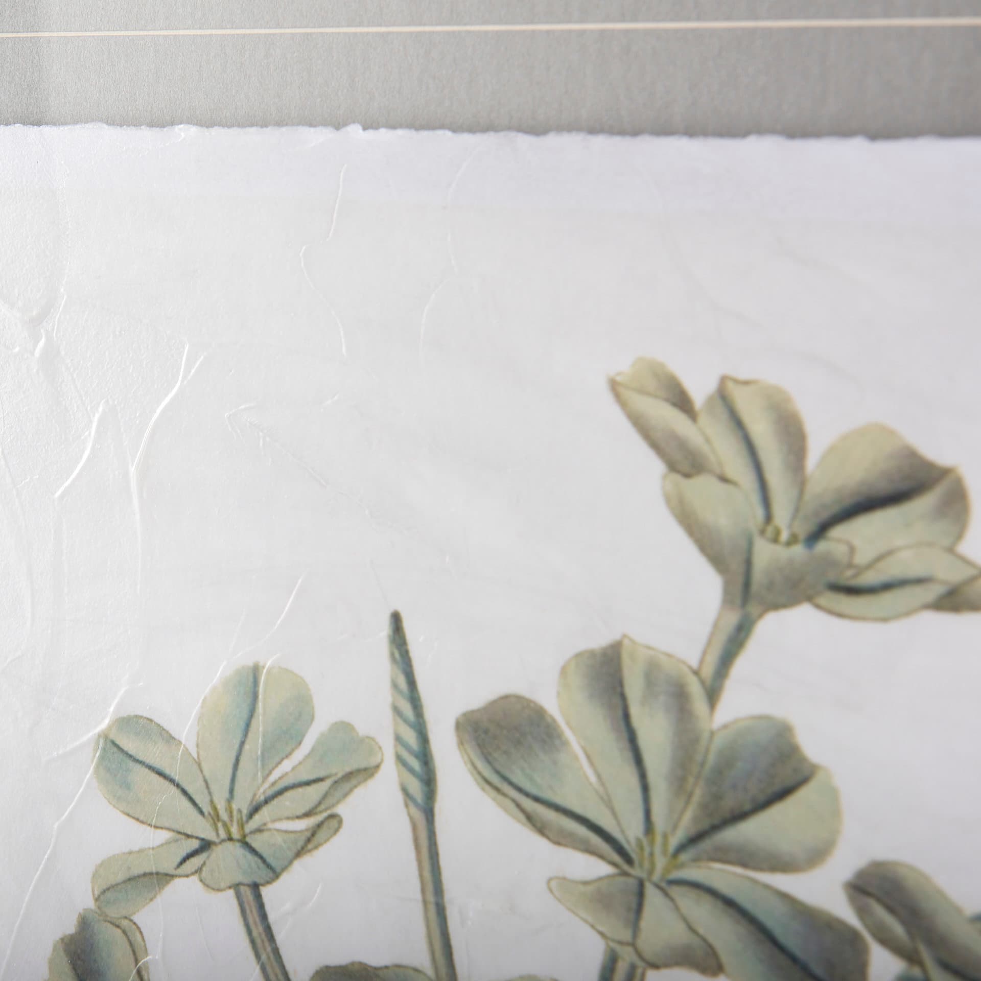 Soft Blue Botanoicals VII by Mercana Studio Hand Embellished Framed Art Print Matted under Glass — product photograph