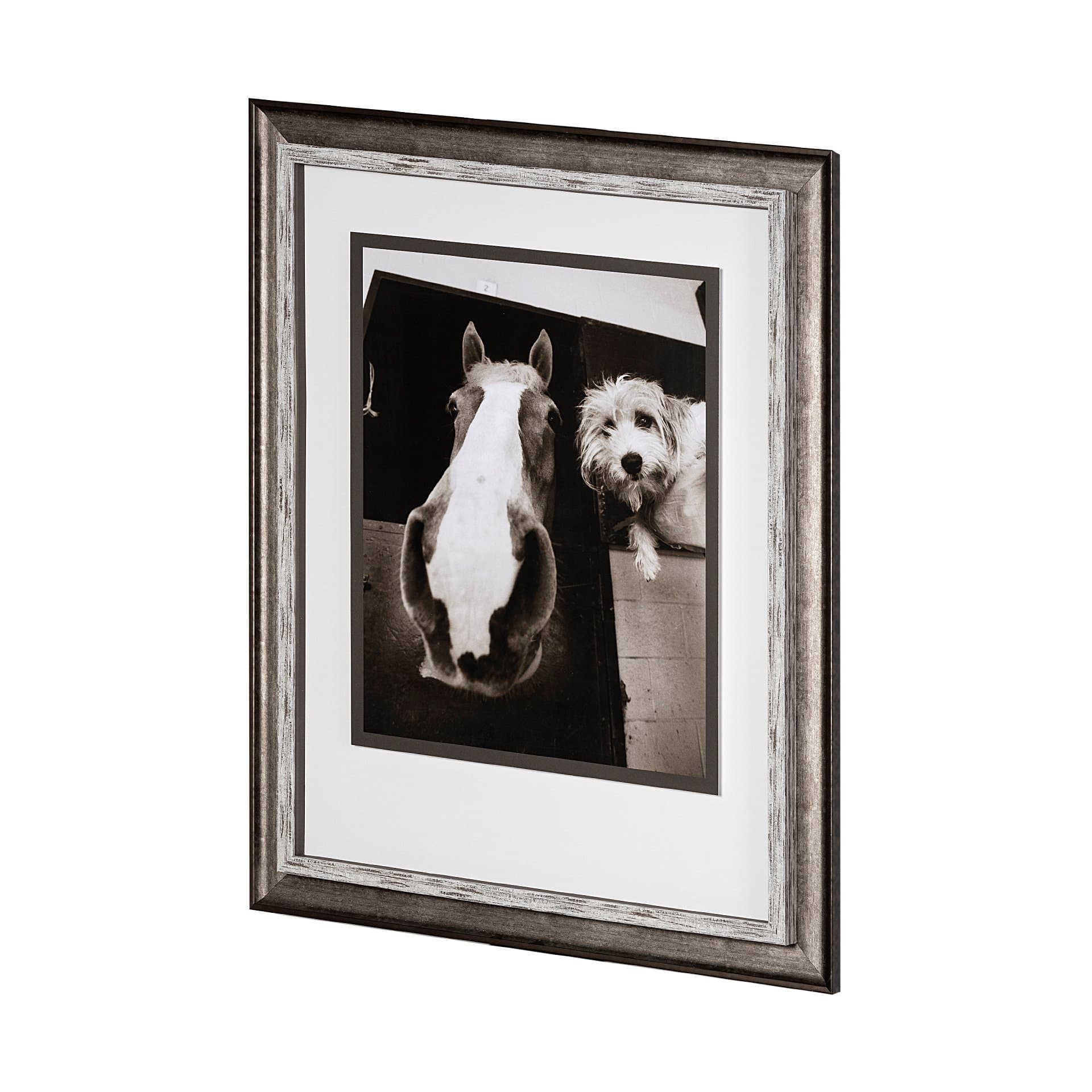 Hanging Out by Jim Drafield a Framed Photo Art Print Matted under Glass — product photograph