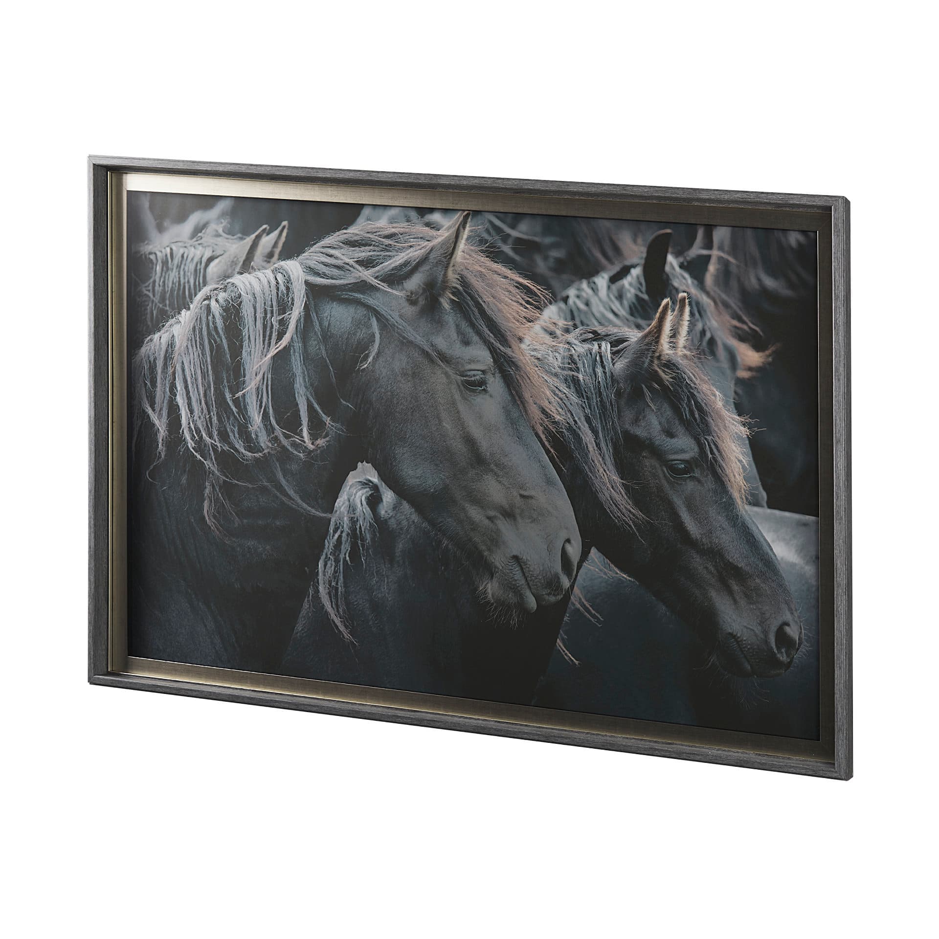 Majestic Admiration by Mercana Studio a Framed Photo Art Print Matted under Glass — product photograph