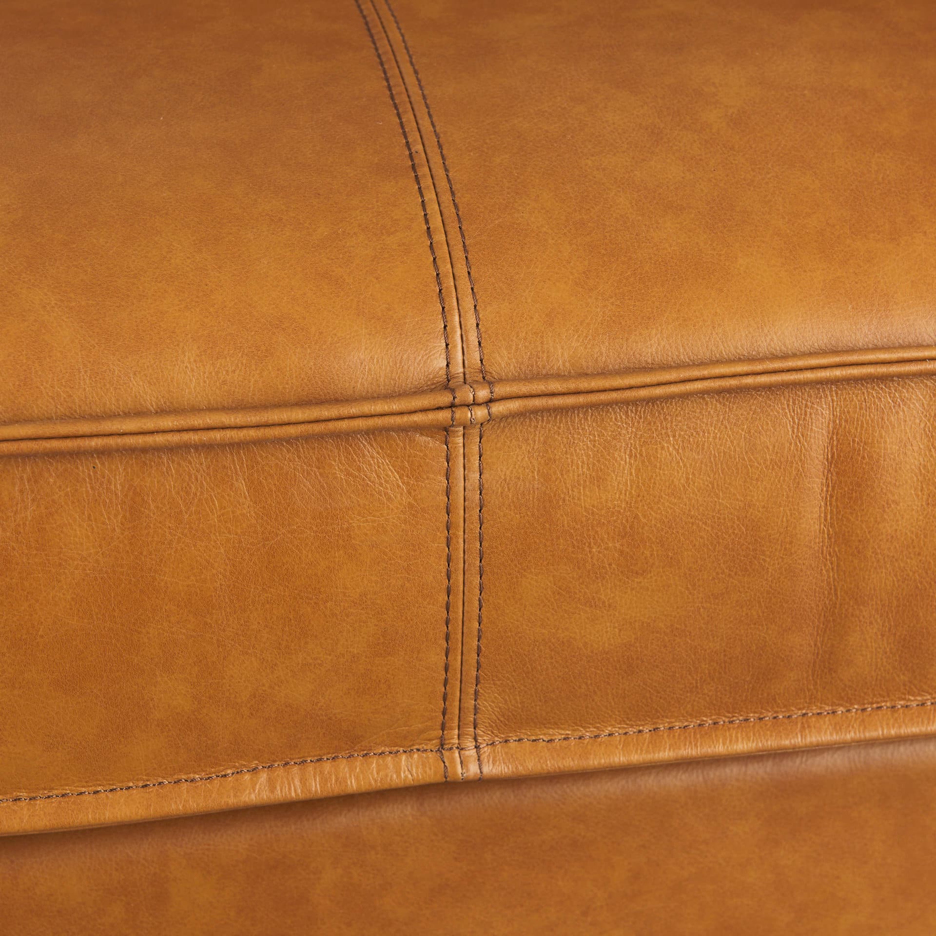 D'Arcy 65.0L x 37.0W x 34.0H Tan Leather Love Seat — product photograph