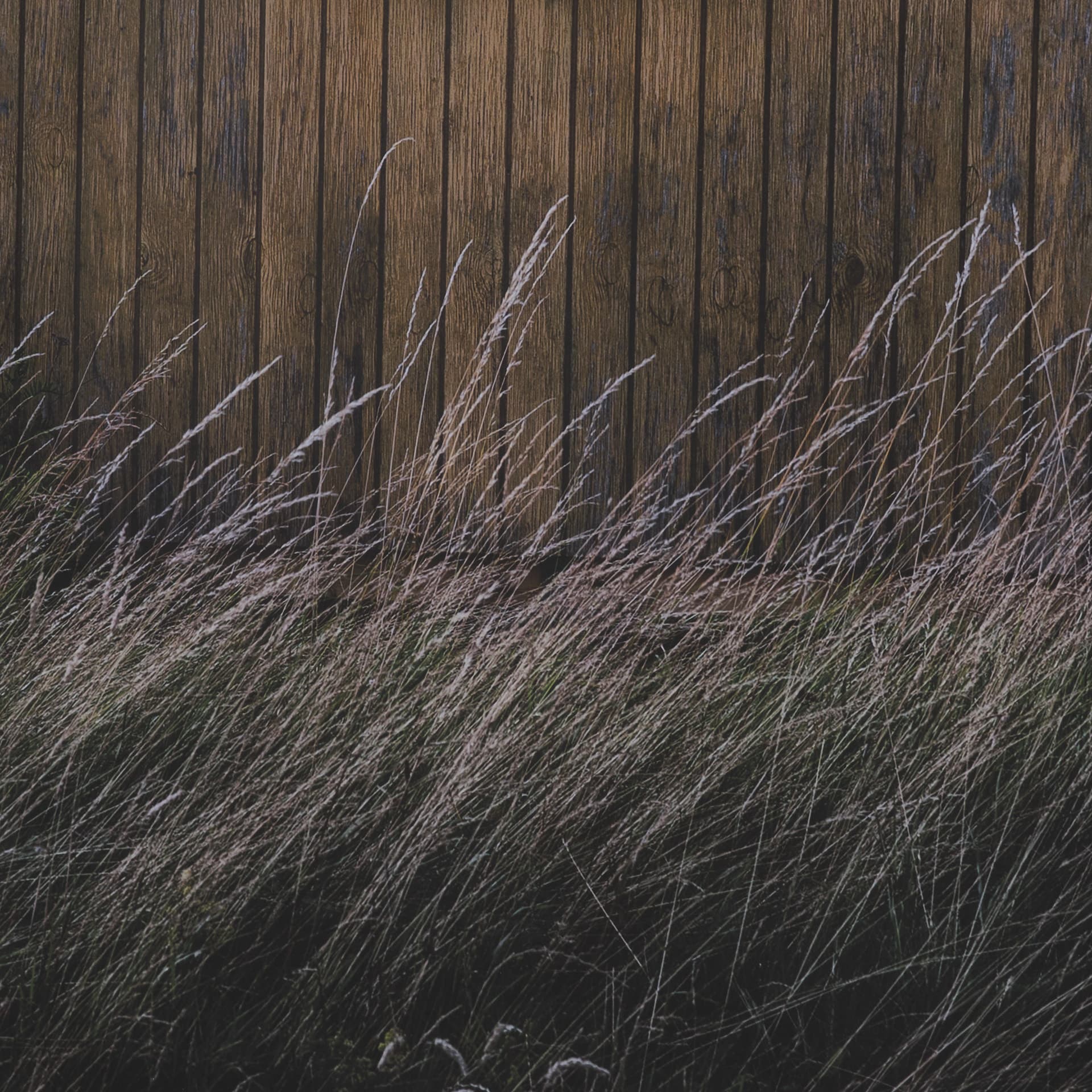Beach Hut by Lotte Gronkjaer FramedPhoto Print Matted under Glass — product photograph