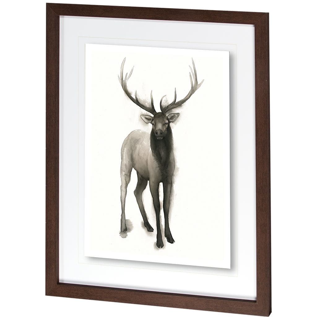 Majestic Wildlife II by Grace Popp a Framed Art Print Matted under Glass — product photograph
