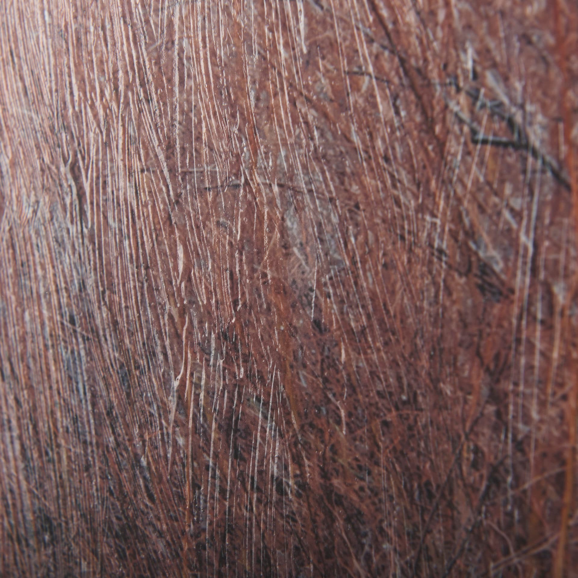 Woddlland pastels by Mercana Studio a Hand Embellished Textured Framed Photo Art Print Matted under — product photograph