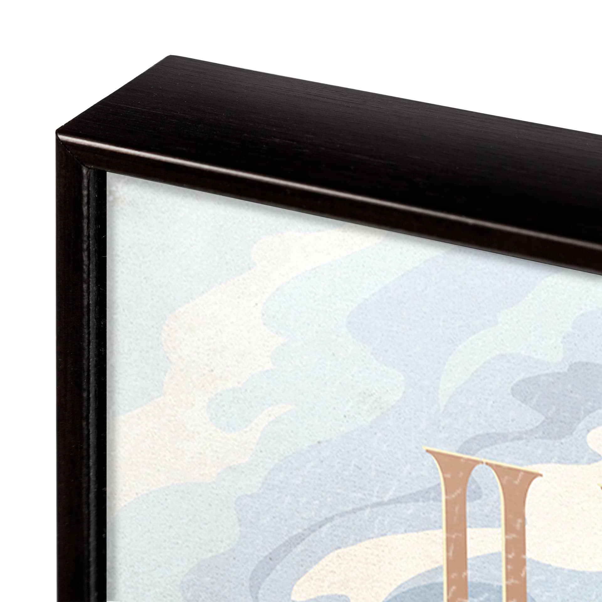 Illinois Go USA (SM) by Mercana Studio a Hand Embellished Decograph Framed Art Print — product photograph