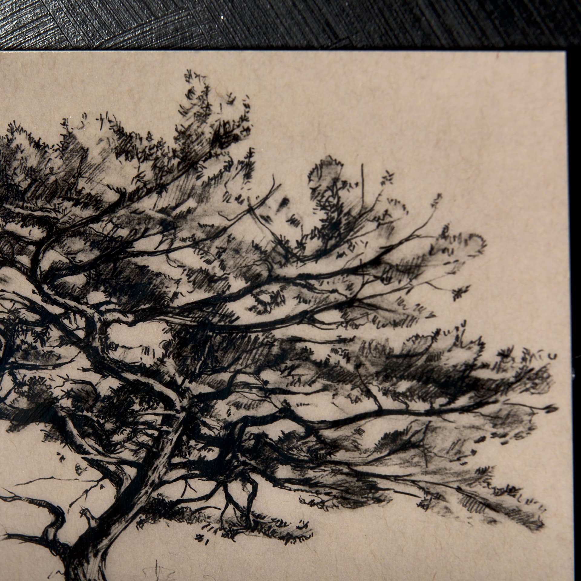 Tree Drawing III by Mercana Studio a Hand Embellished Textured Framed Art Print Matted under Glass — product photograph