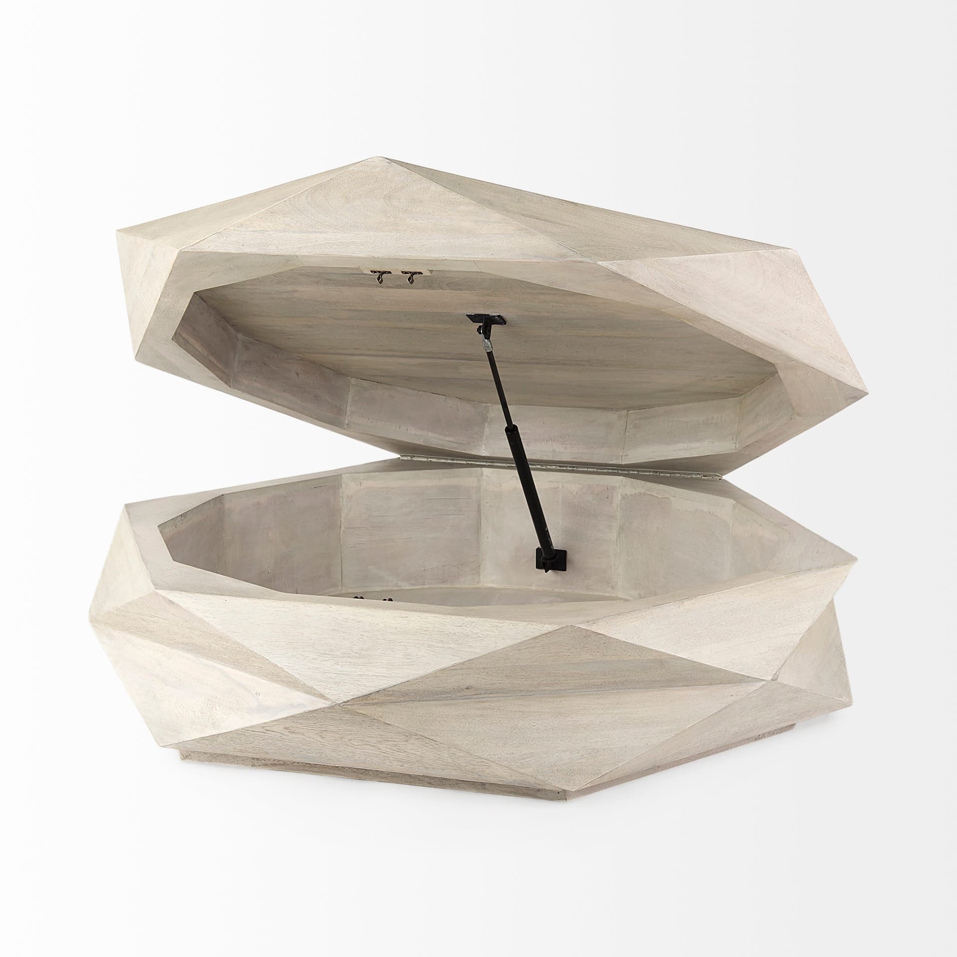 Arreto 48" Natural Solid Wood Hexagonal Storage Coffee Table — product photograph