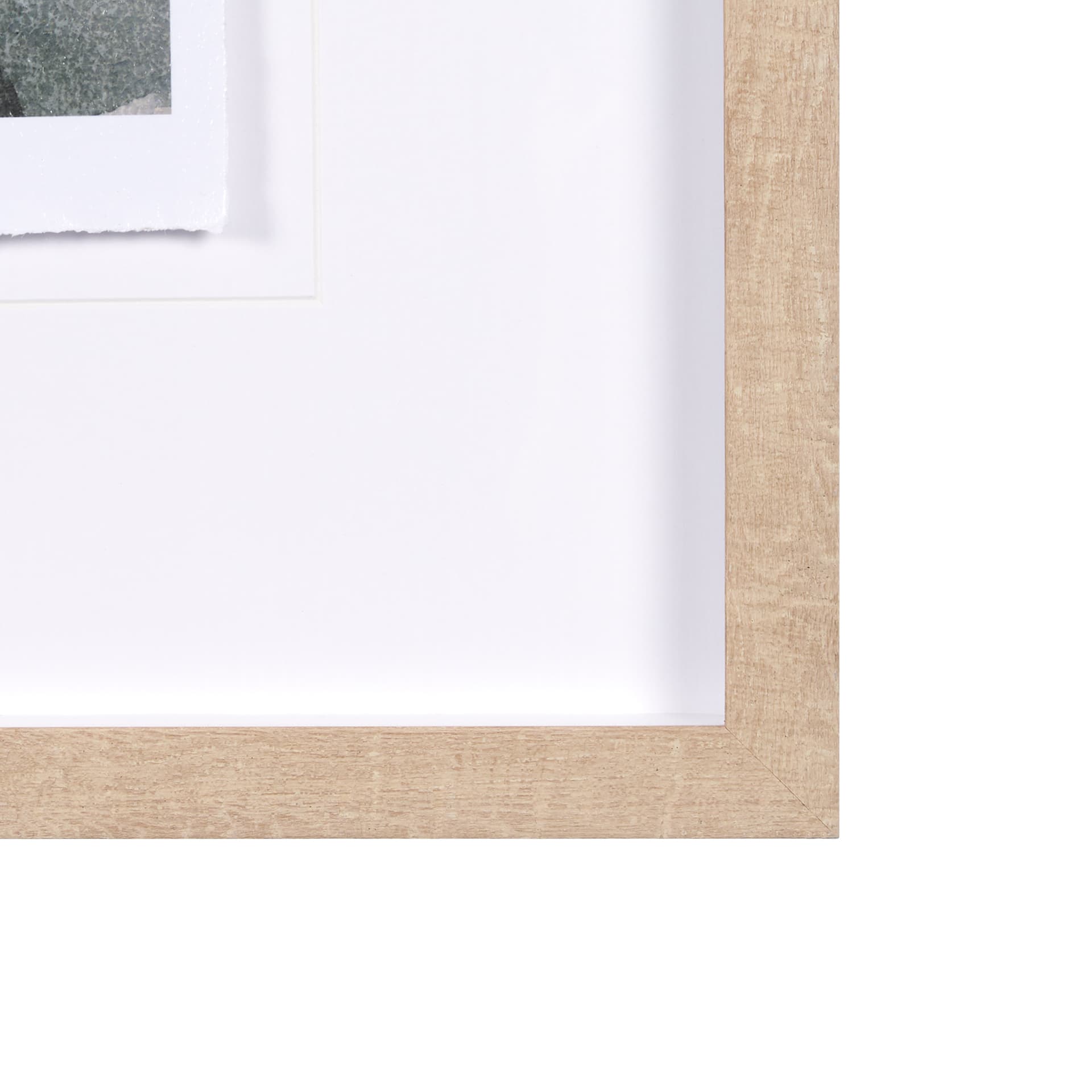 Summer Foliage I by Mercana Studio a Hand Embellished Textured Framed Art Print Matted under Glass — product photograph