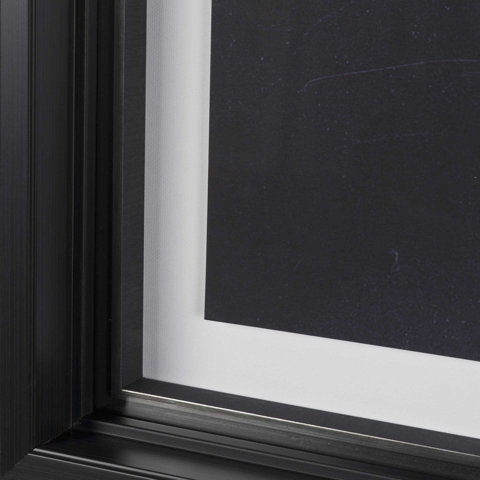 Urchin Still Life II by Nathan Larson a Hand Embellished Framed Photo Art Print Matted under Glass — product photograph