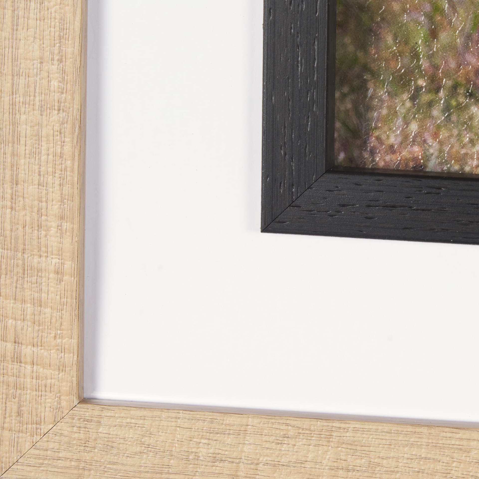 Longhorn 7 by Gary Blatter a Hand Embellished Framed Photo Art Print Matted under Glass — product photograph