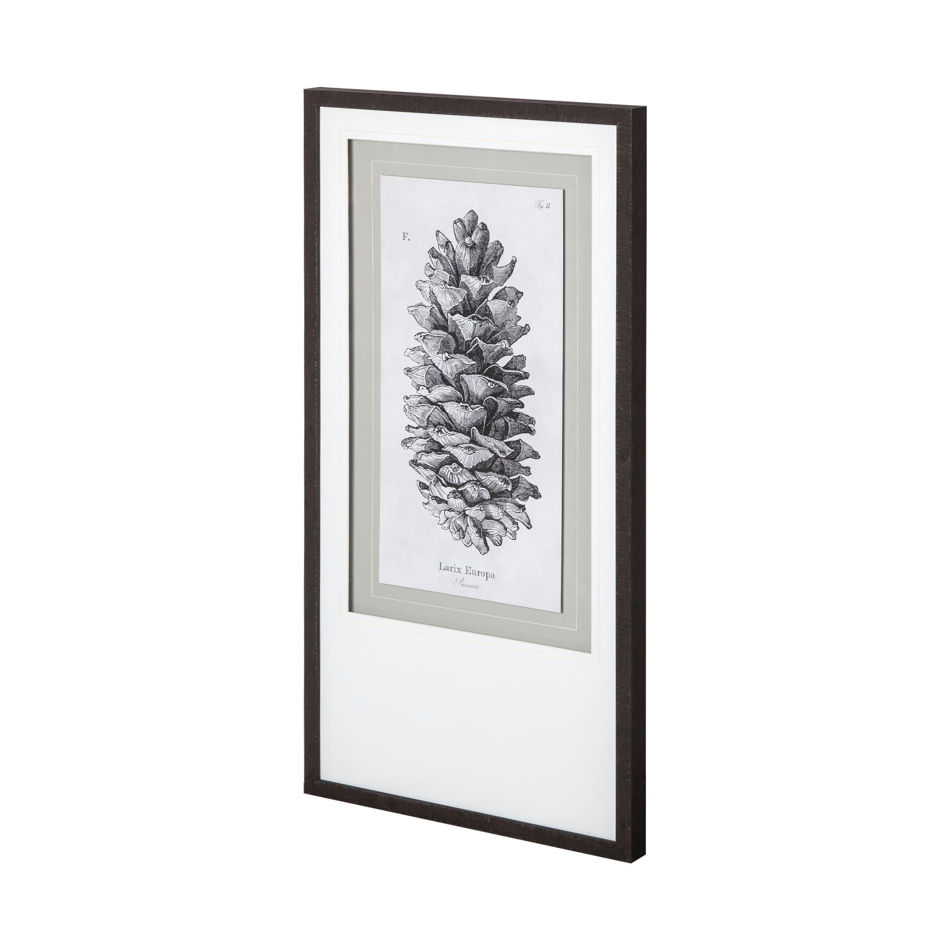 Larix Europa by Maria Mendez a Framed Art Print Matted under Glass — product photograph