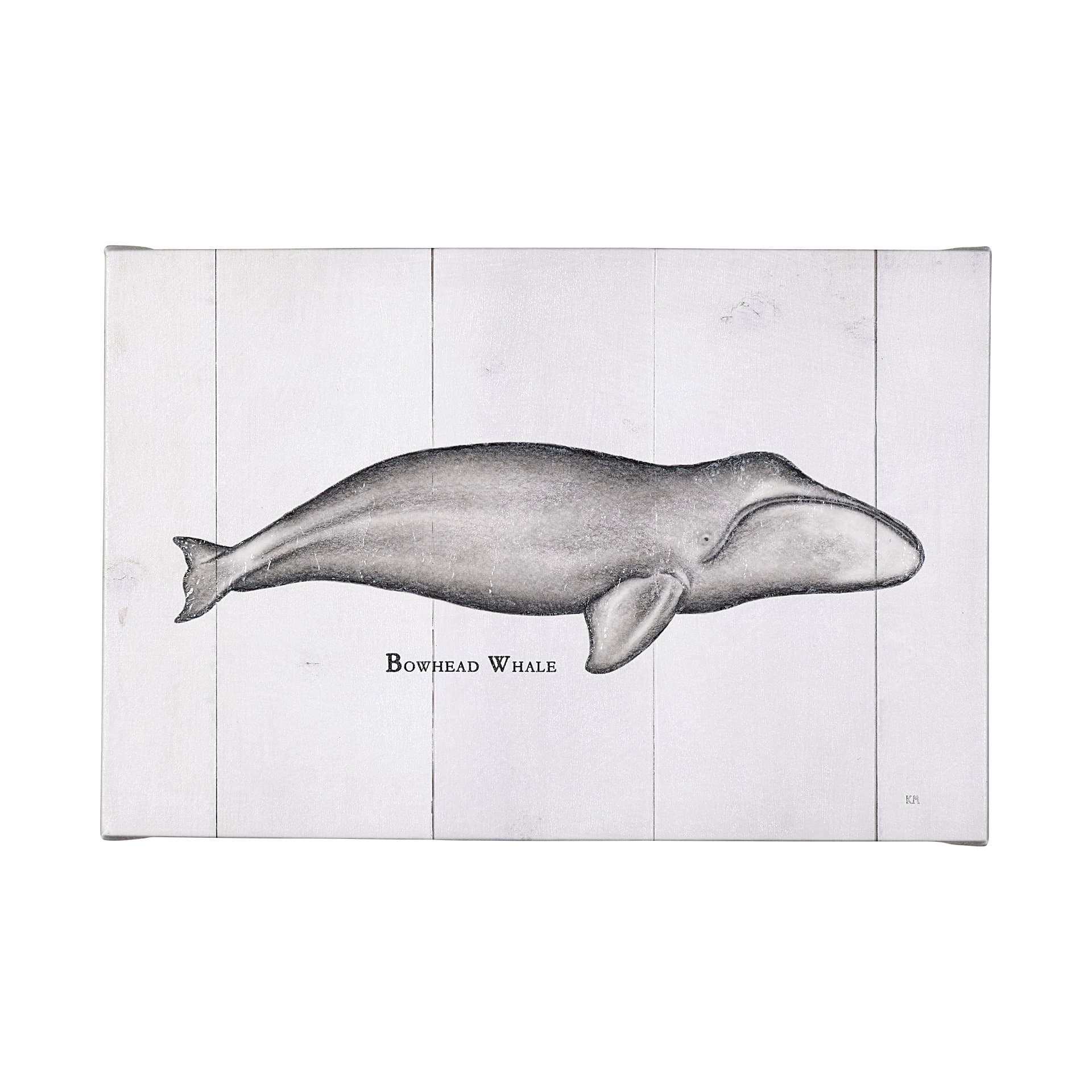 Bowhead Whale by Mercana Studio a Hand Embellished Textured Canvas — product photograph