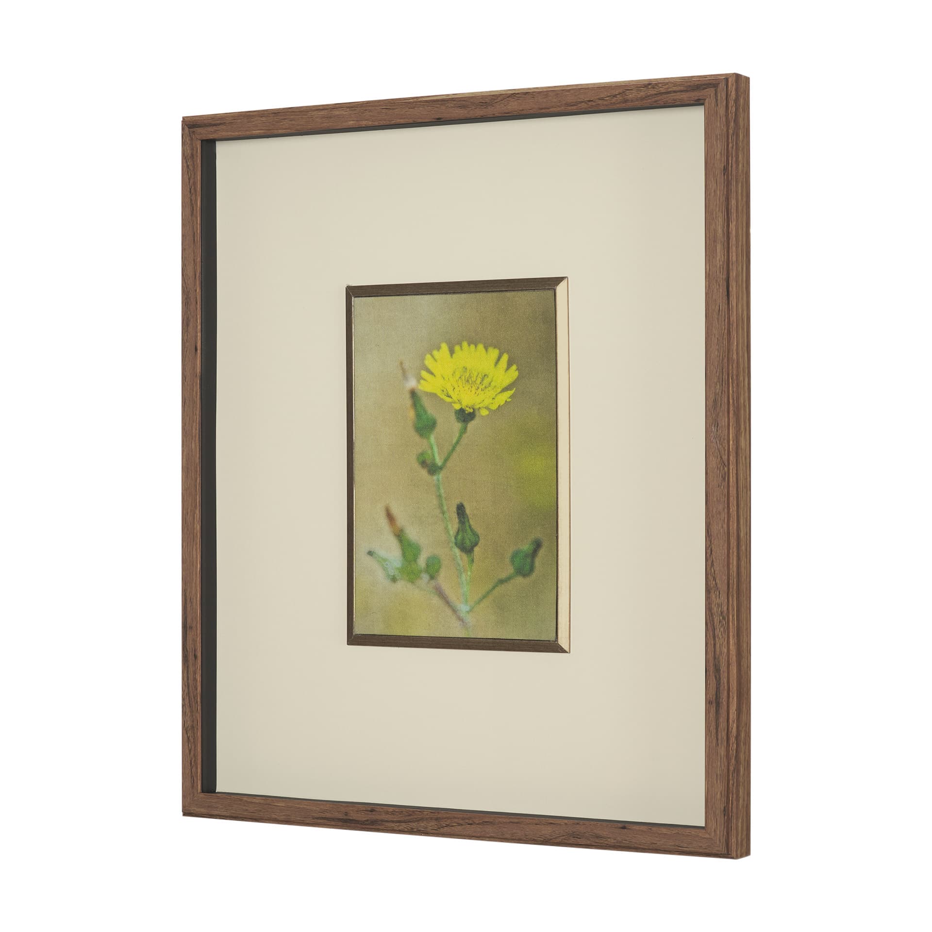 Leaf Charm by Michael Banks a Hand Embellished Framed Photo Art Print Matted under Glass — product photograph