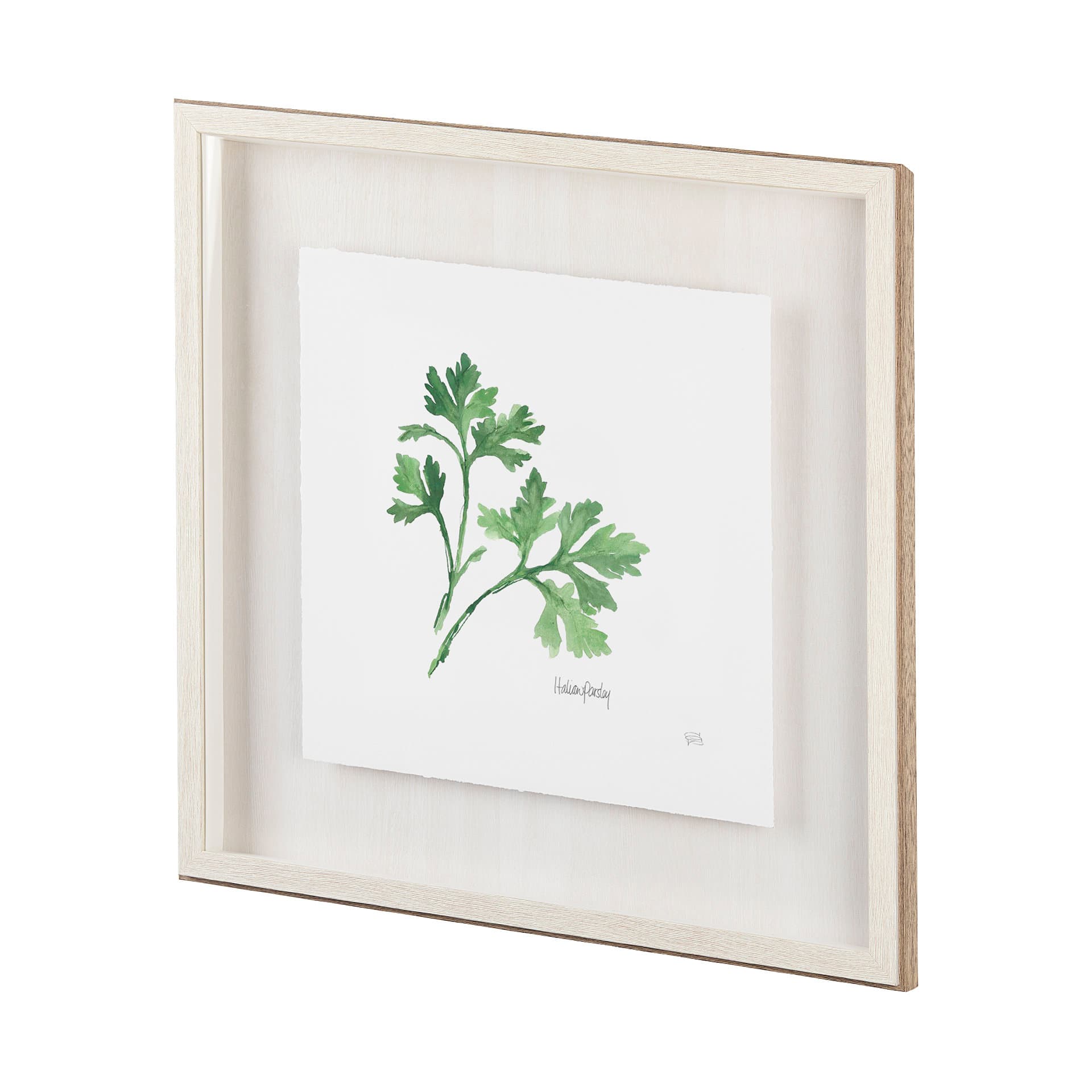 Italian Parsley v2 by Chris Paschke a Framed Art Print Matted under Glass — product photograph