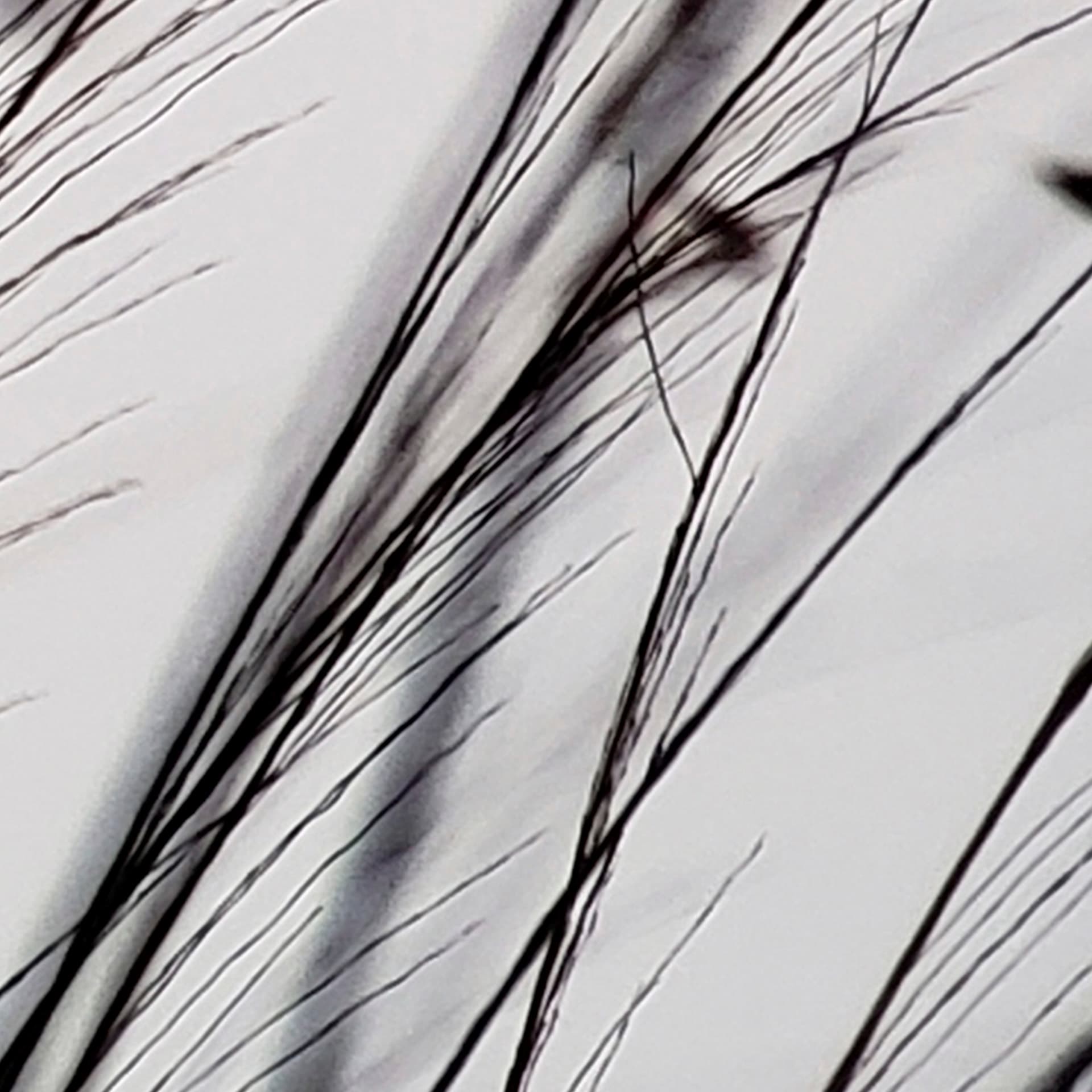 Organic II by Tony Koukos a Hand Embellished Textured Framed Art Photograph Matted under Glass — product photograph