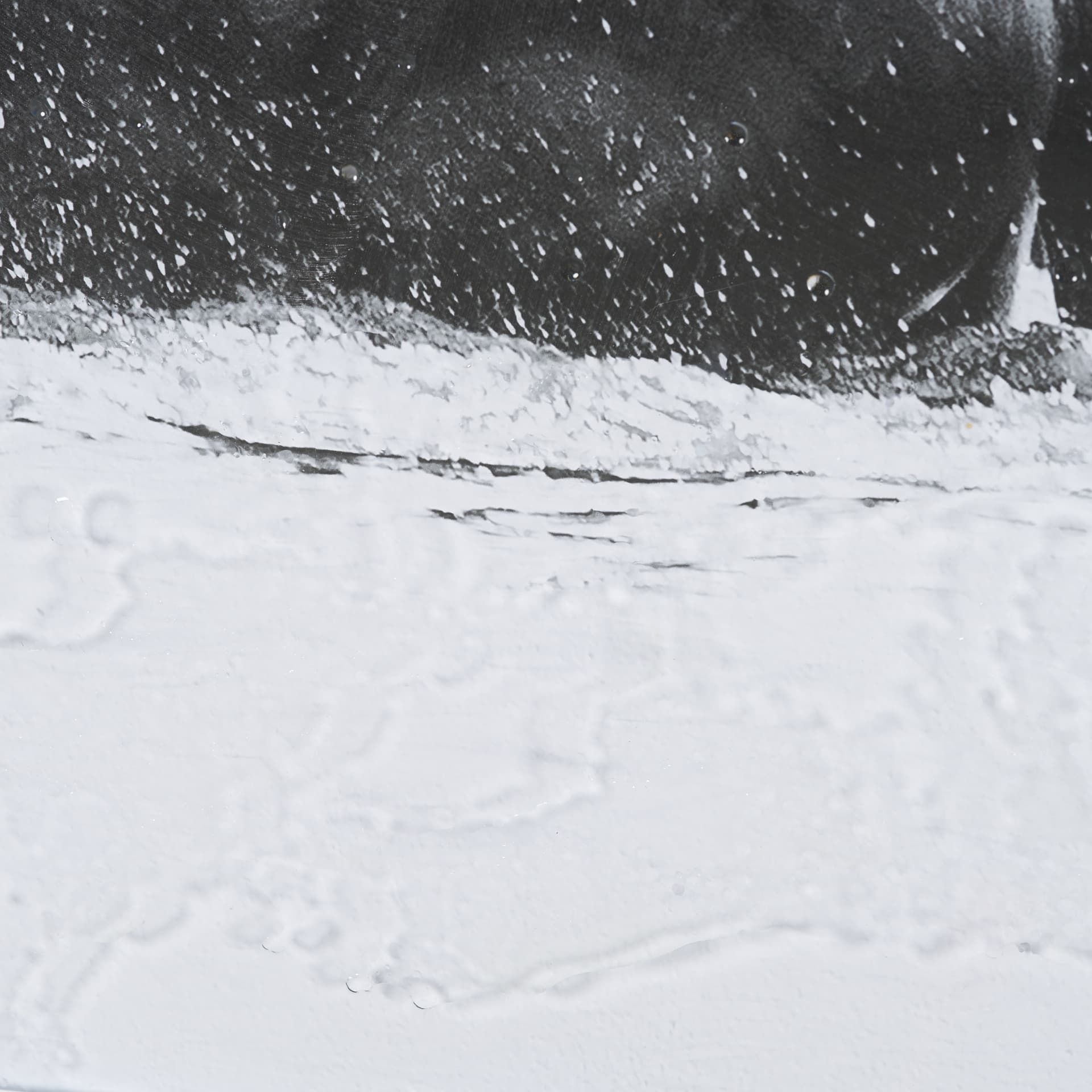 Water Horses III 1 by PH Burchett a Hand Embellished Textured Framed Photo Art Print Matted under Gl — product photograph