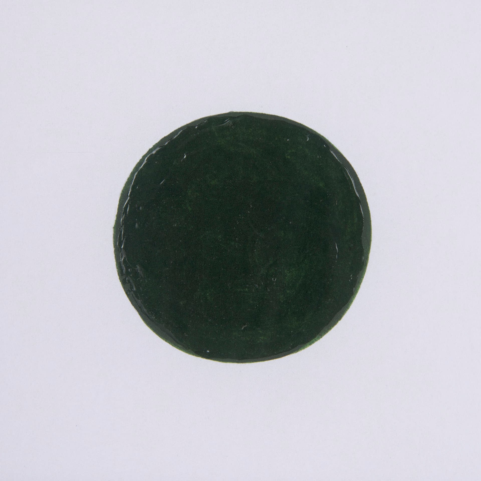 Green Desert I by Mercana Studio a Hand Embelished Textured Framed Art Print Matted under Glass — product photograph