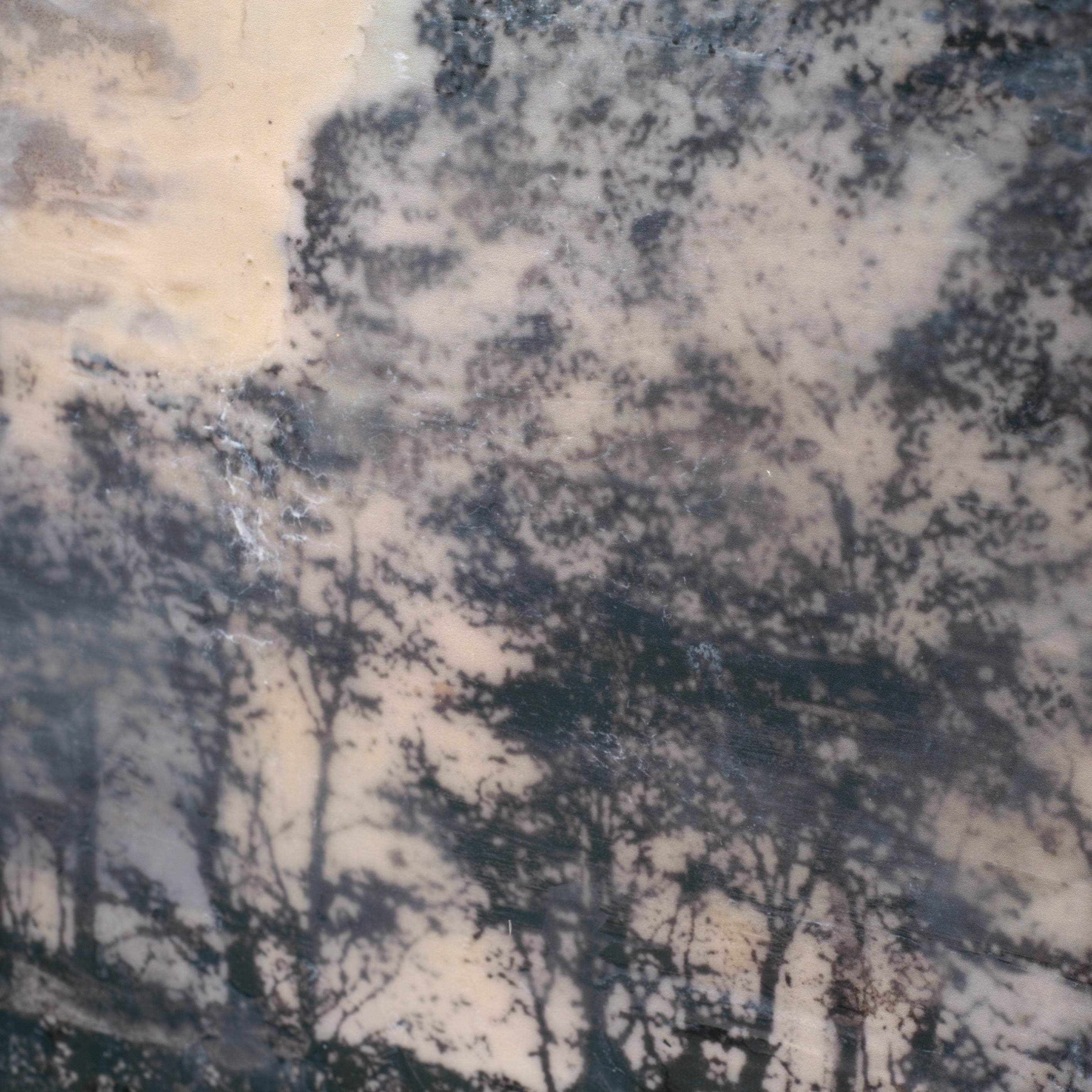 66 by Jennifer Goldberger a Framed Art Print Matted under Glass — product photograph