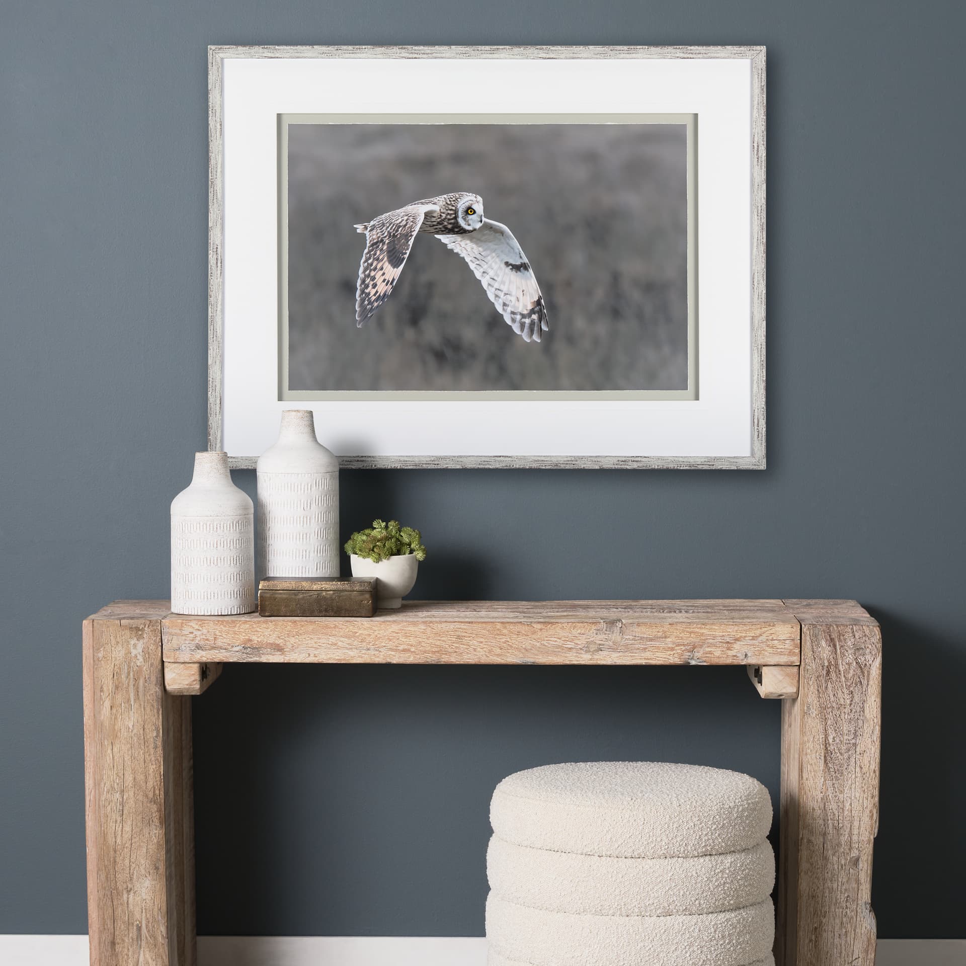 Owl in Flight by Chad Mackay a Framed Photo Art Print Matted under Glass — in a styled room