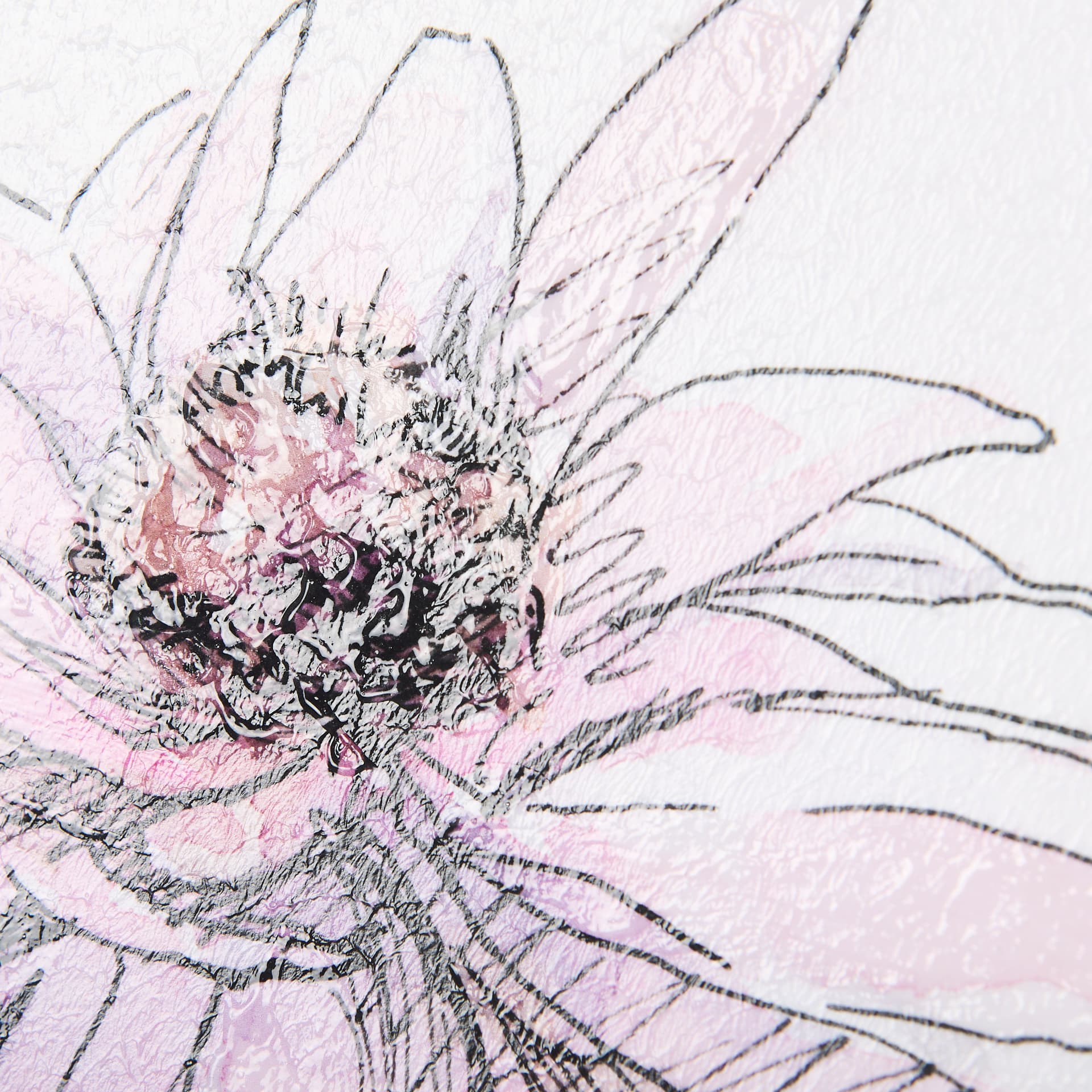 Echinacea I by Mercana Studio a Hand Embellished Textured Framed Art Print — product photograph