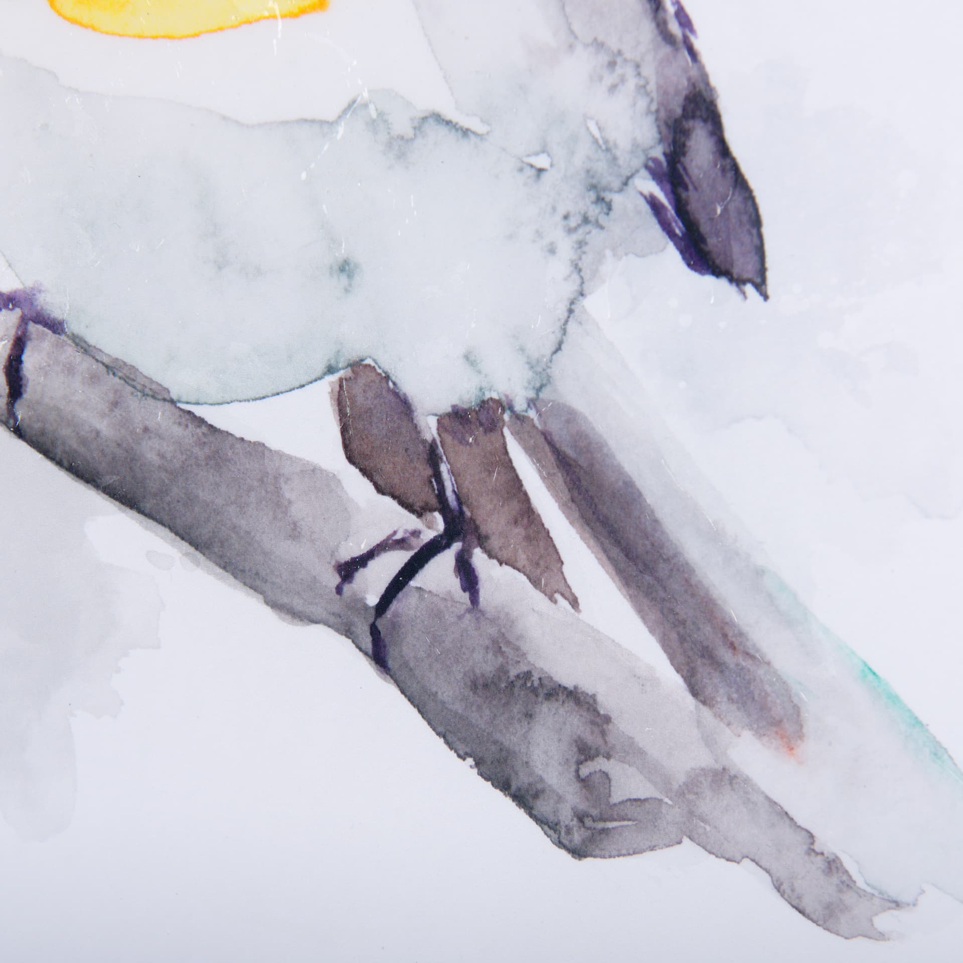 Robin I by Mercana Studio a Hand Embellished Textured Framed Art Print Matted under Glass — product photograph