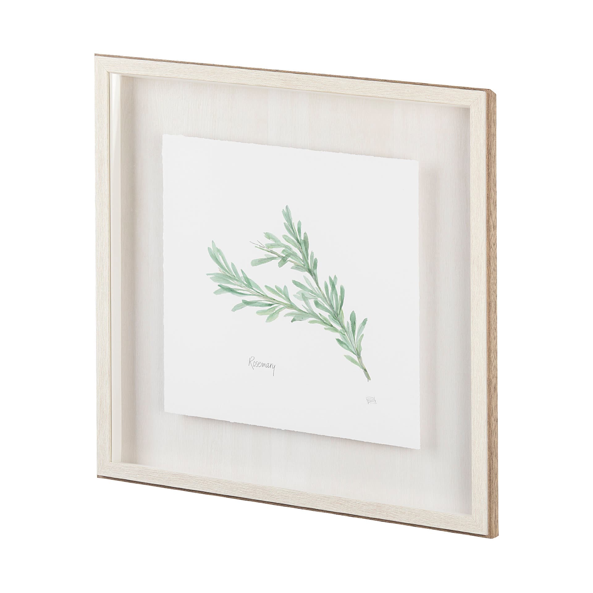 Rosemary v2 by Chris Paschke a Framed Art Print Matted under Glass — product photograph