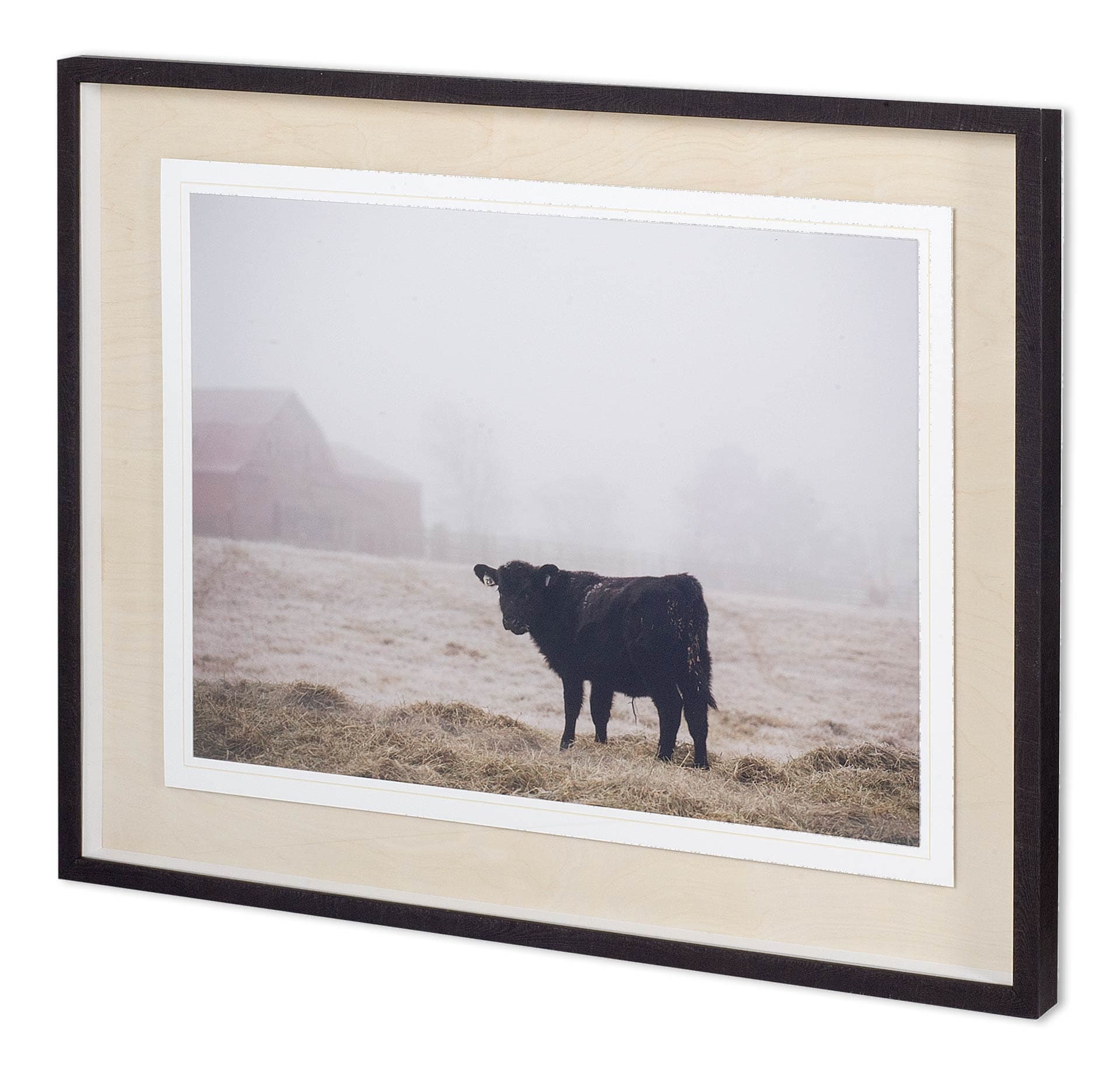 Custom Farm Study II by Adam Mead a Framed Photo Art Print Matted under Glass — product photograph