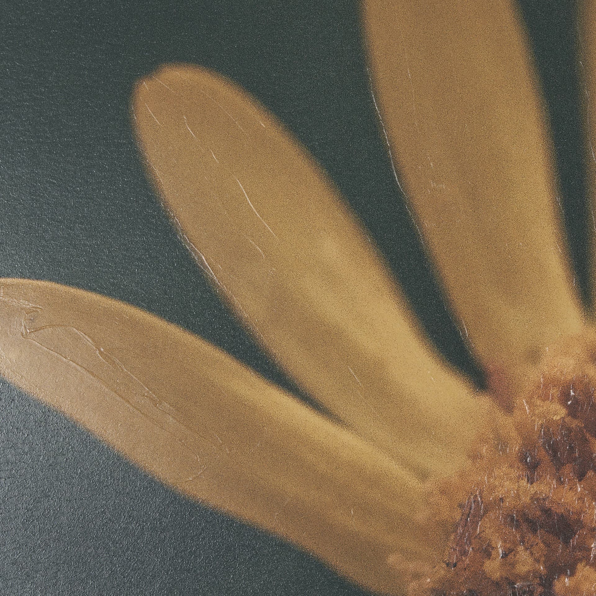 Wild Blooms II by Nathan Larson a Hand Embellished Framed Photo Art Print Matted under Glass — product photograph