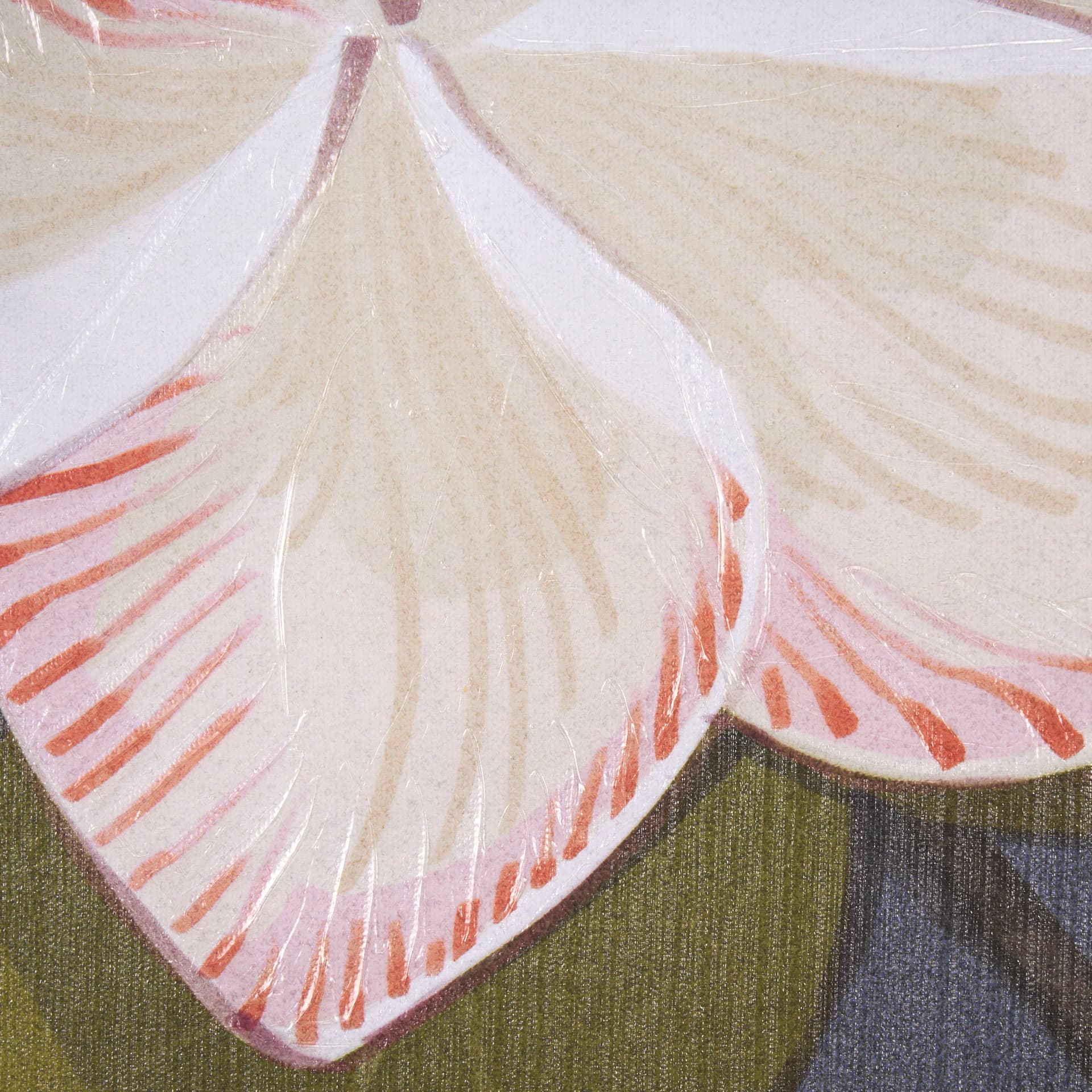 Flower Portrait III (FRANGIPANI) by Mercana Studio a Hand Embellished Textured Framed Art Print — product photograph