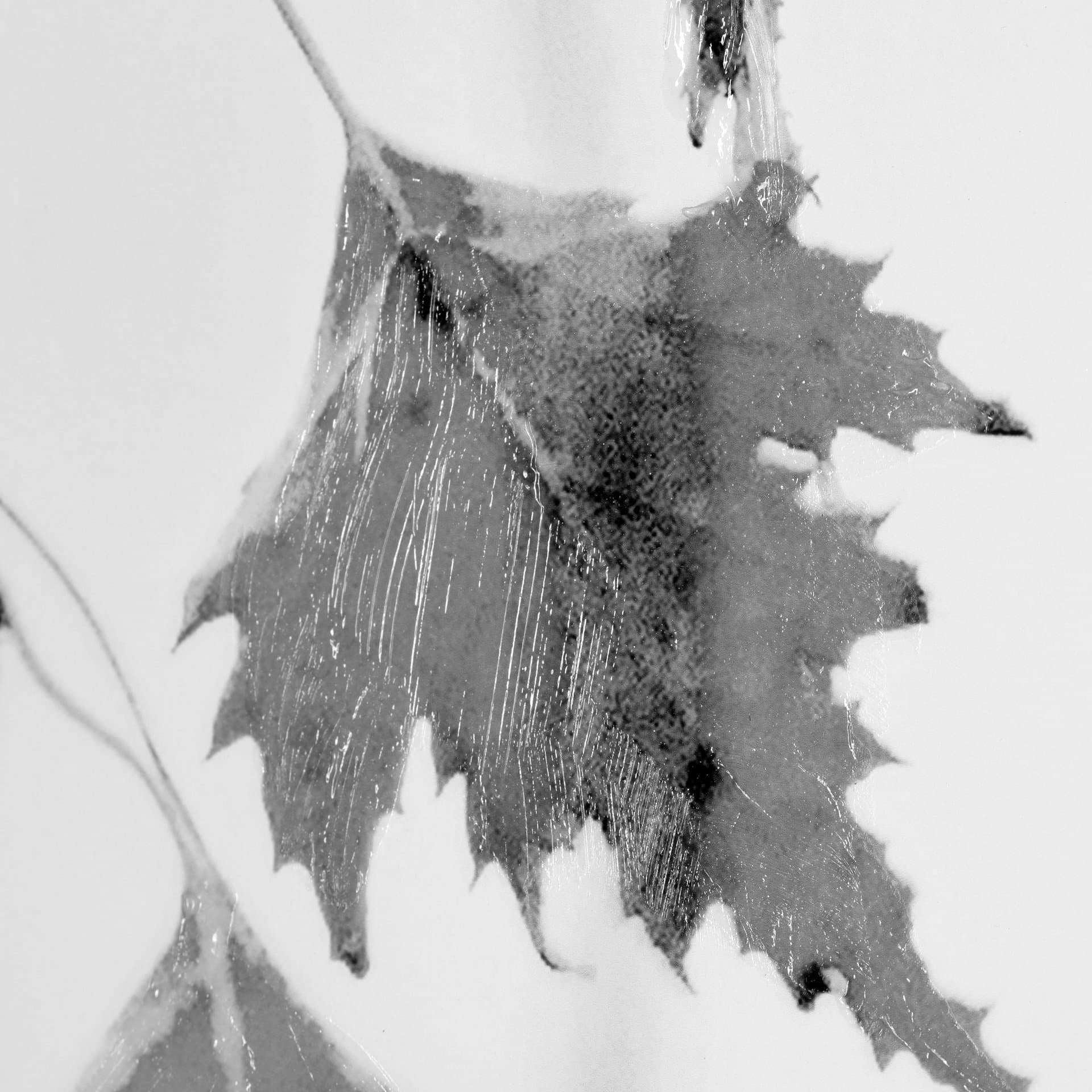 Hanging by Rebecca Cozart a Hand Embellished Textured Framed Art Print Matted under Glass — product photograph