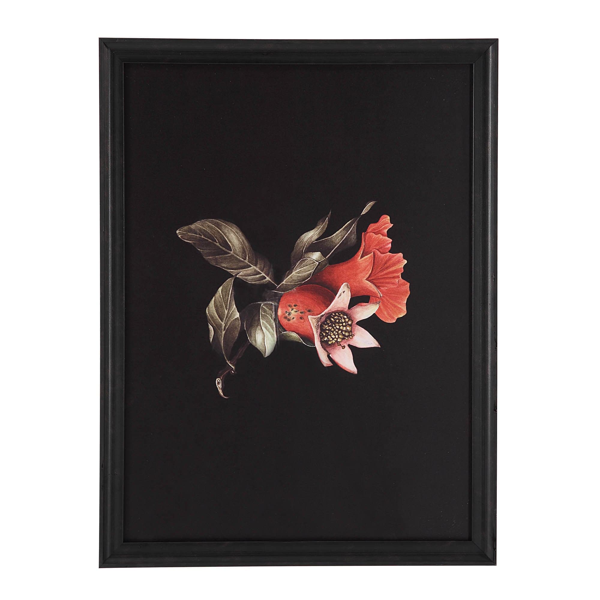 Wallflower — product photograph