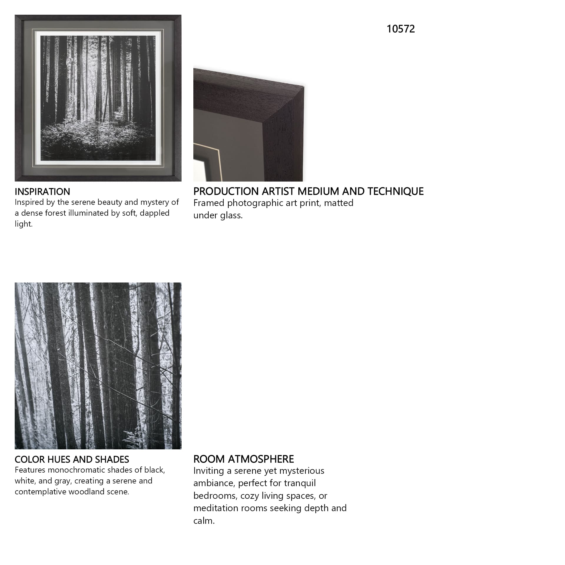 Lowland Winter Forest No 13, Tiger Mountain by Bisig, Steve a Framed Photo Art Print Matted under Gl — in a styled room