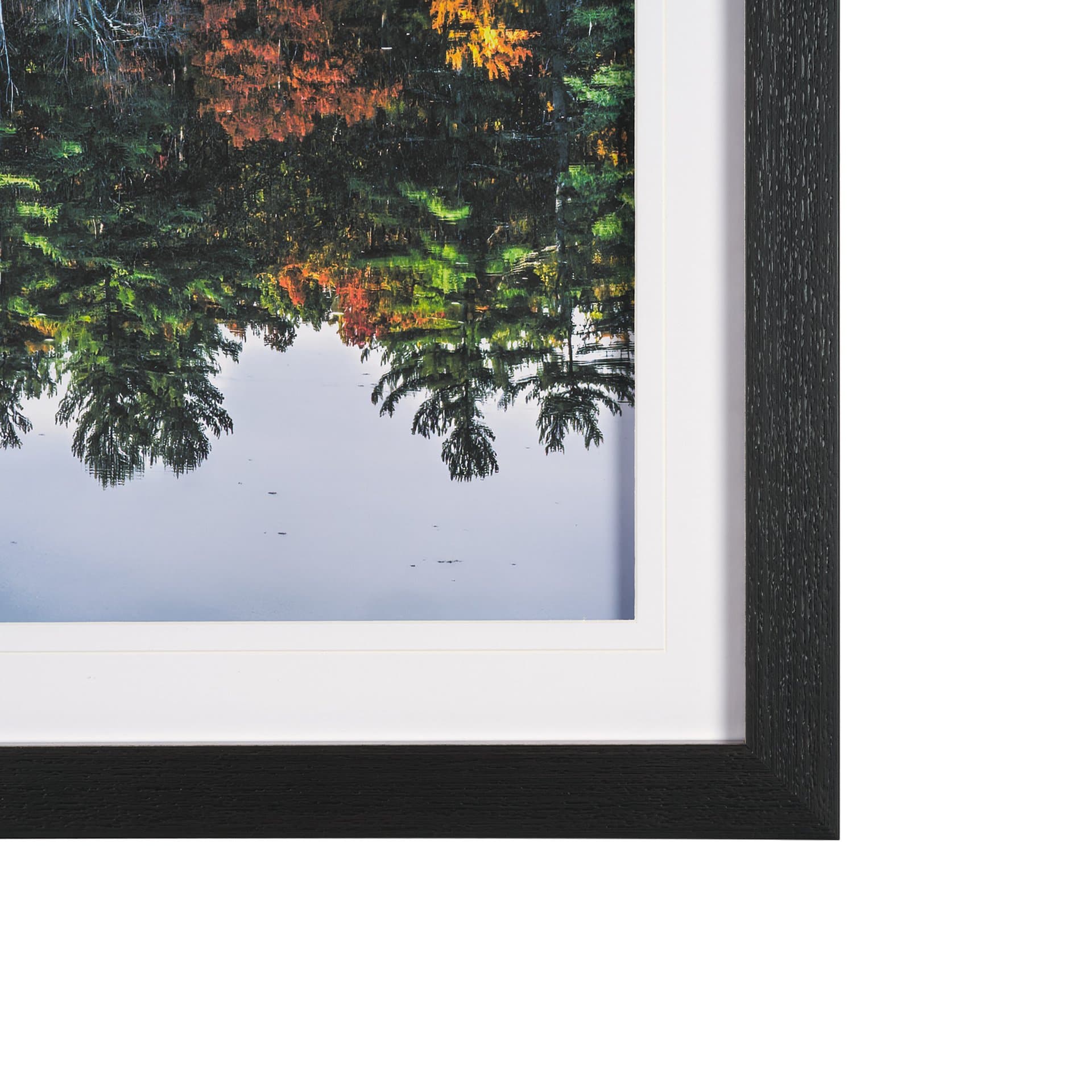 Fall Reflections by Dimitry Papkov Framed Art Print Matted under Glass — product photograph