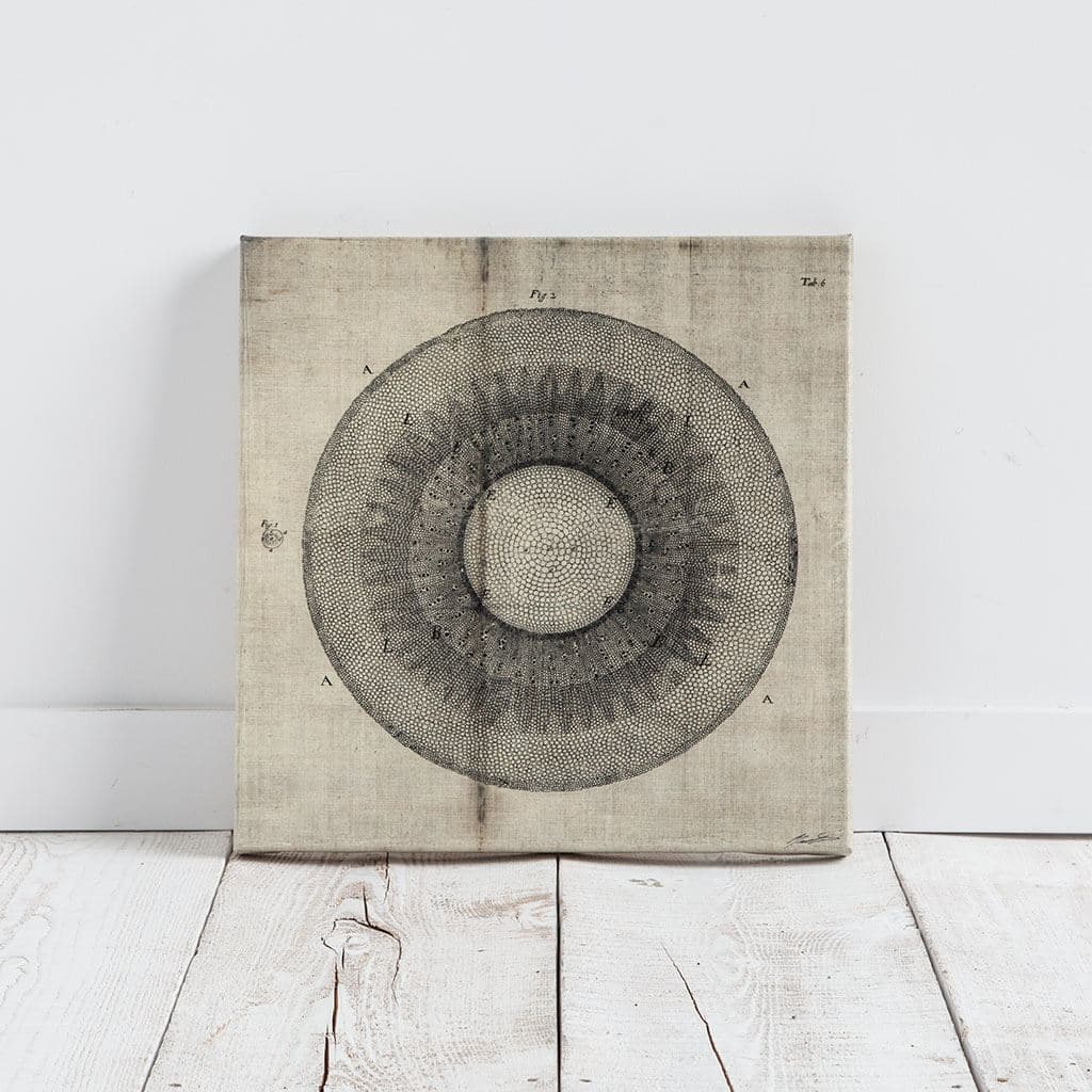 Cross Cut II (MC) by Mercana Studio a Hand Embellished Textured Canvas — product photograph
