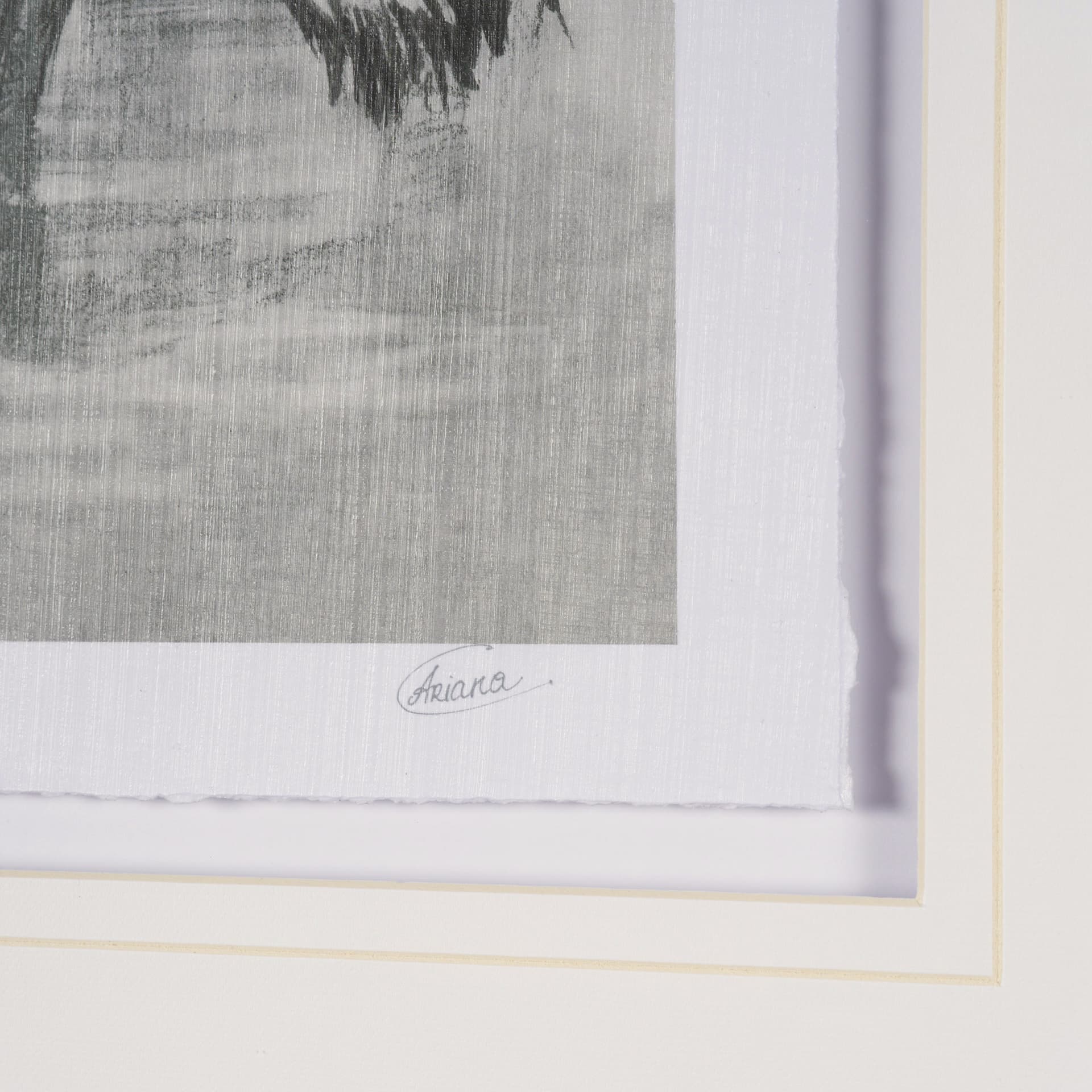 Pelican Sketch by Mercana Studio a Hand Embellished Framed Art Print Matted under Glass — product photograph