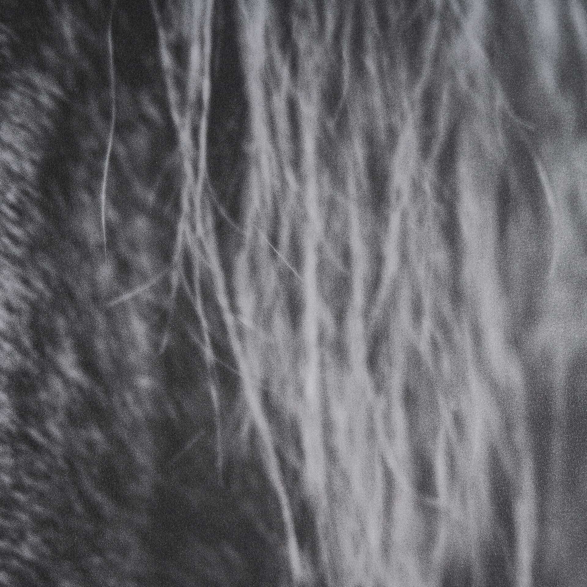 Mustang by Nathan Larson a Hand Embellished Framed Photo Art Print Matted under Glass — product photograph