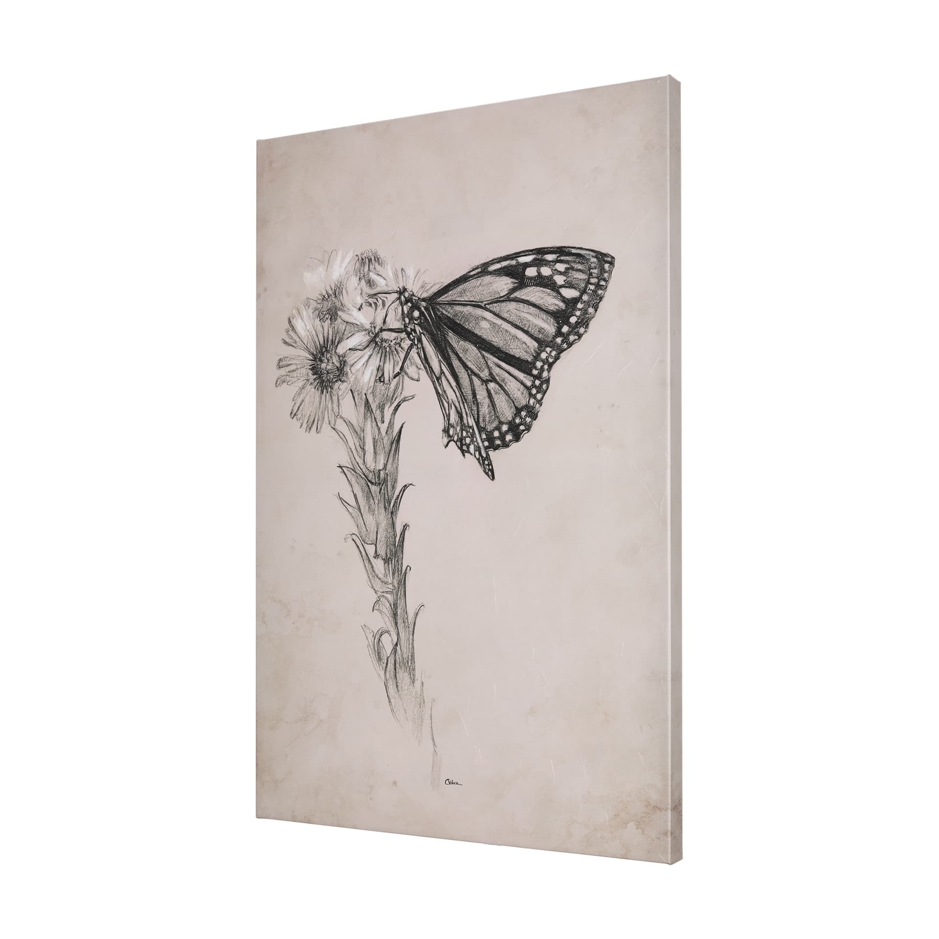 Wild Aster With Monarch Butterfly Drawing III by Mercana Studio a Hand Embellished Textured Canvas — product photograph