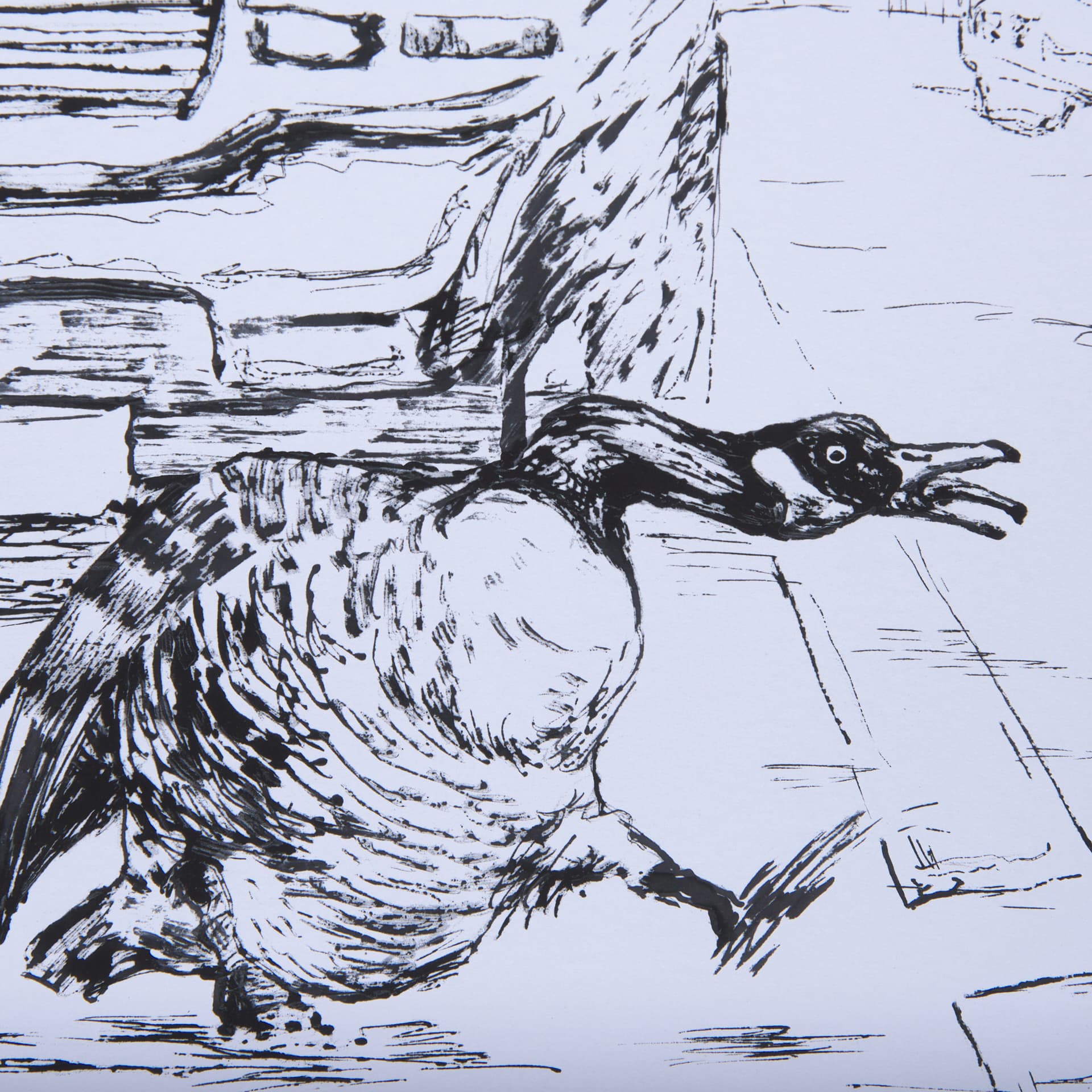 Animal Talk IV by Mercana Studio a Framed Art Print Matted under Glass — product photograph