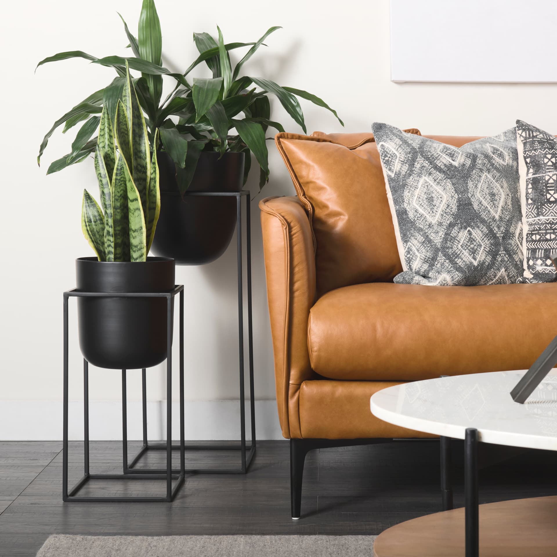 Bumble (Set of 2) 12L x 12W x 32H Black Plant Stands — product photograph