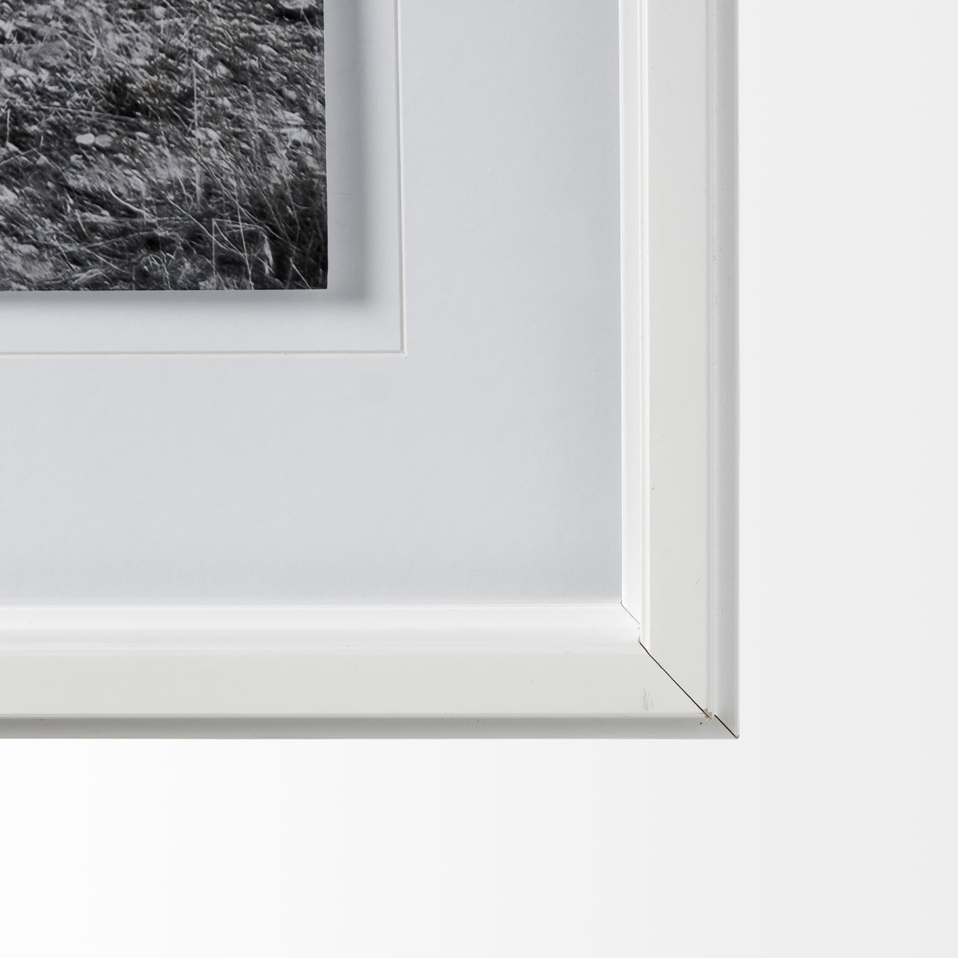 Horse 2 by Dunker a Framed Photo Art Print Matted under Glass — product photograph