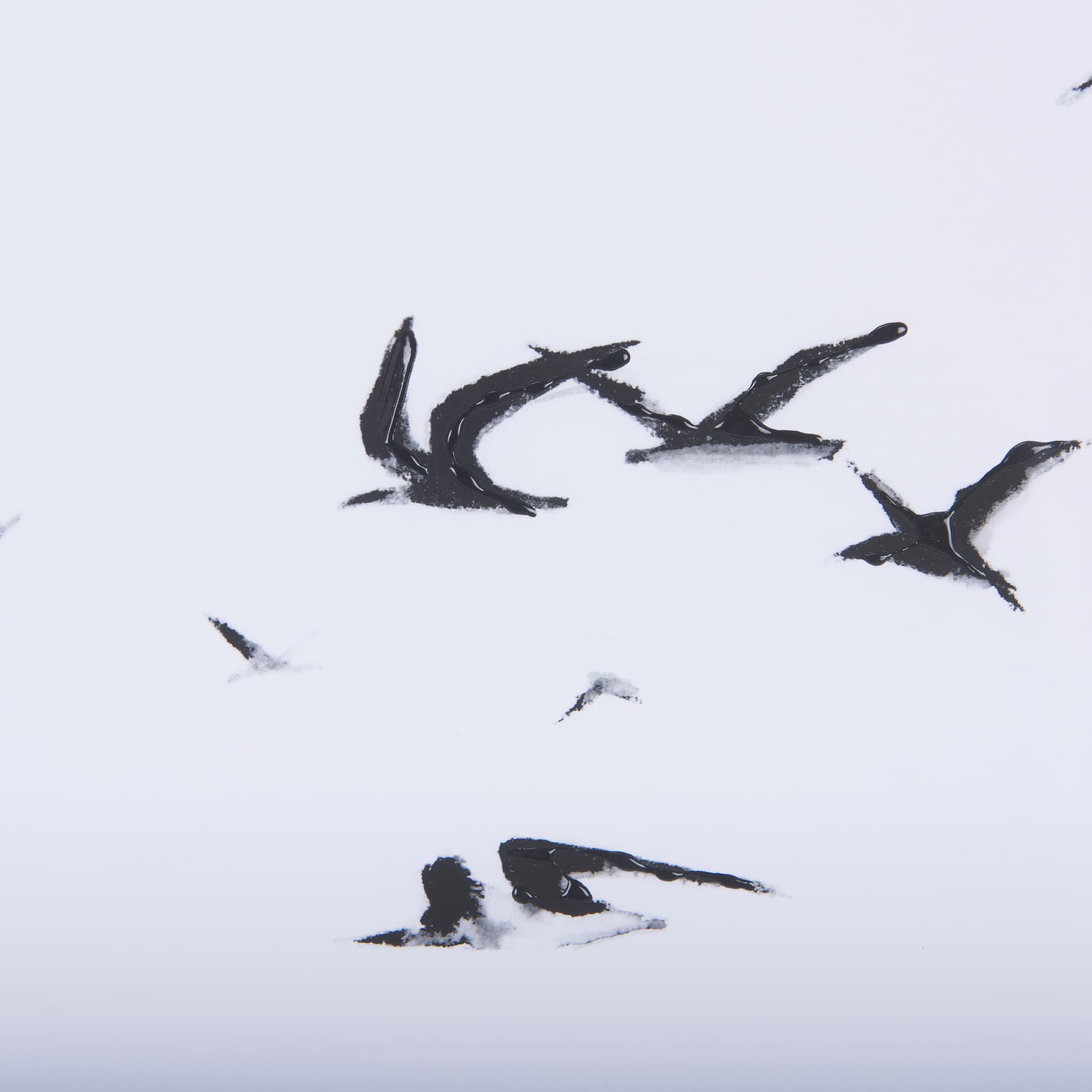 Fly Away by Mercana Studio a Hand Embellished Textured Framed Art Print Matted under Glass — product photograph