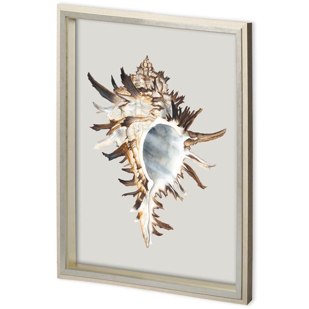 Custom Black Murex by Maleki, Ferdos a Framed Art Print Matted under Glass — product photograph